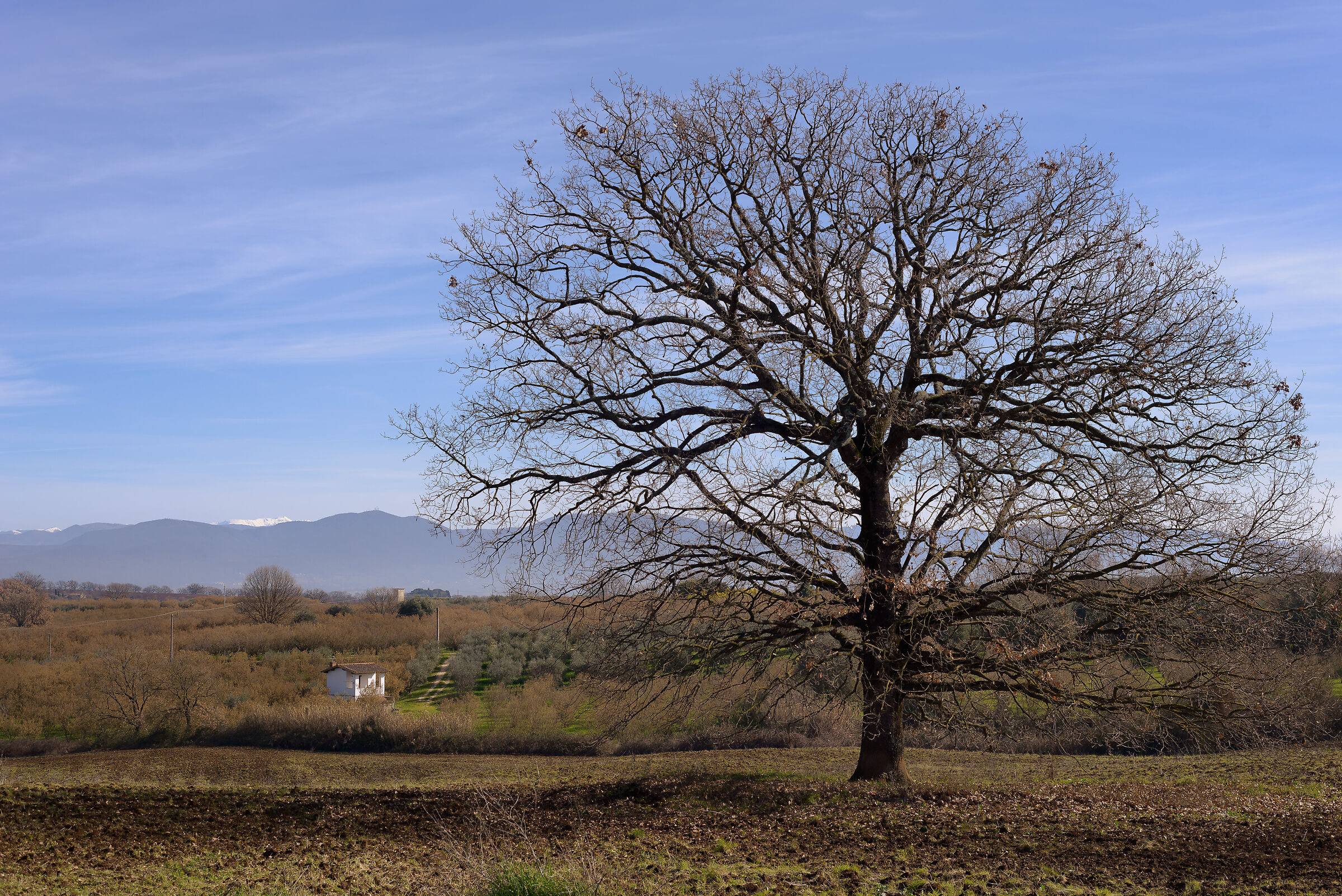In una domenica di Marzo