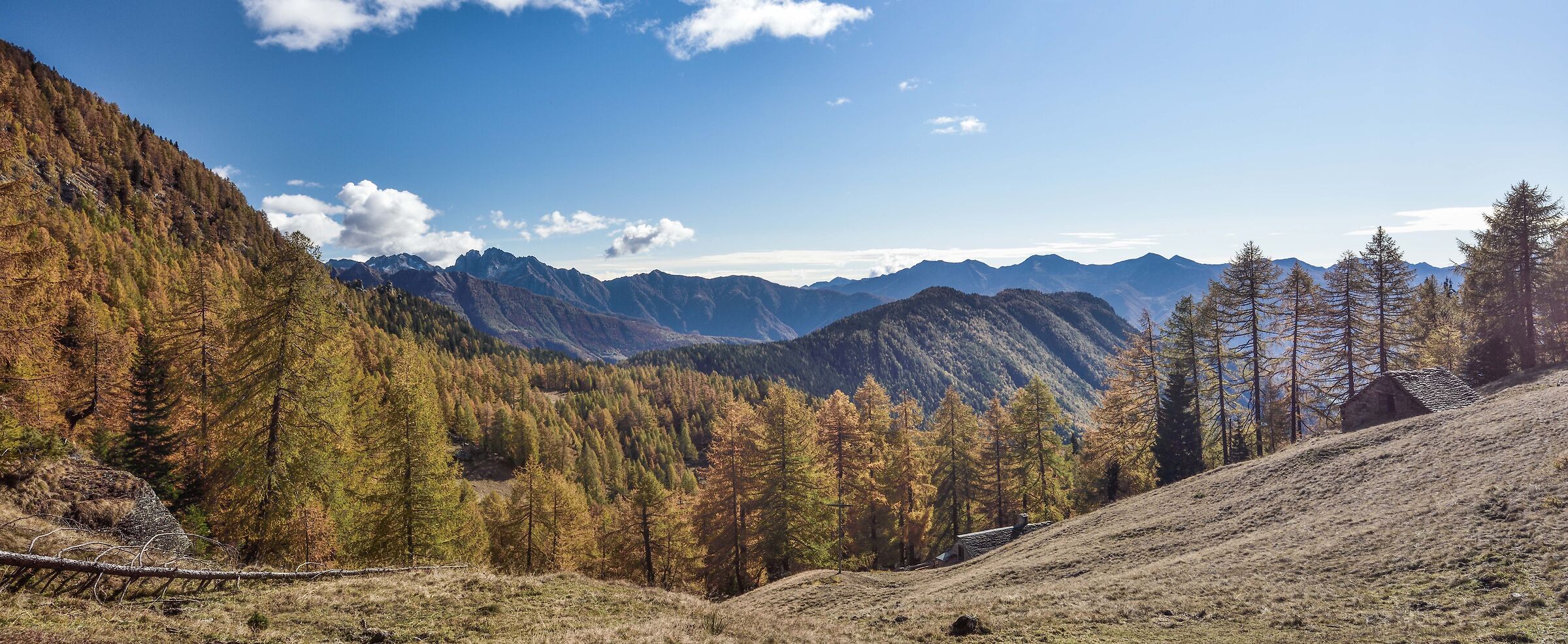 autunno 2020 Valdivedro