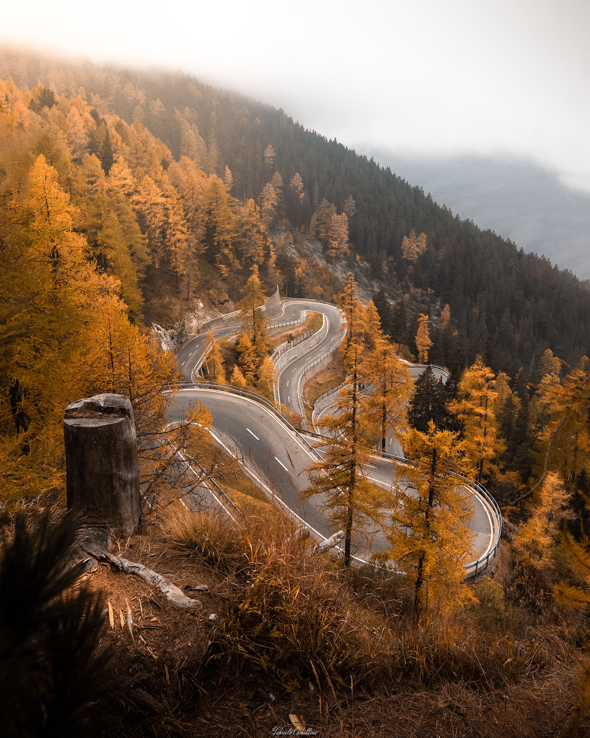 "Autumn vibes"
