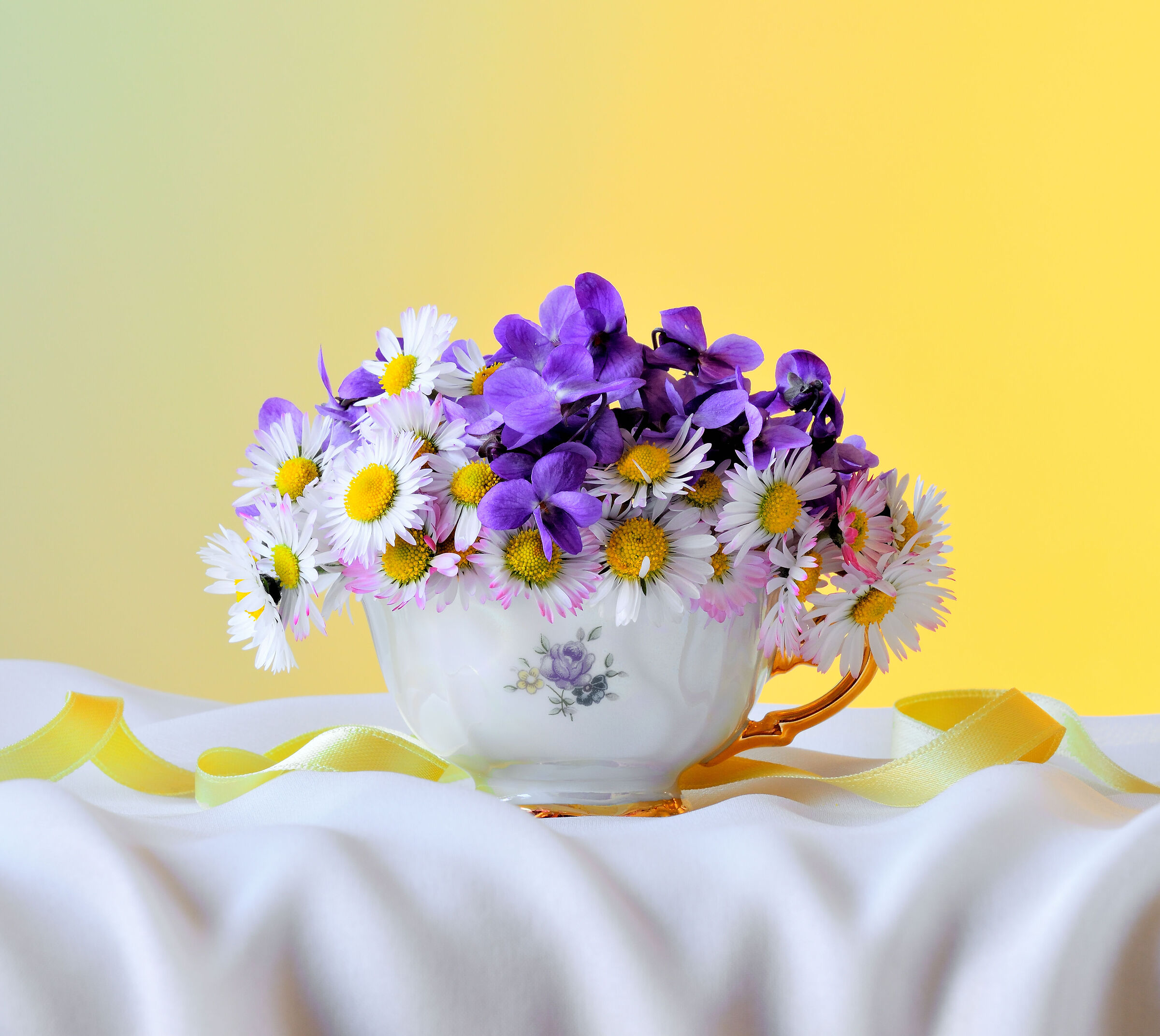 violette e margherite