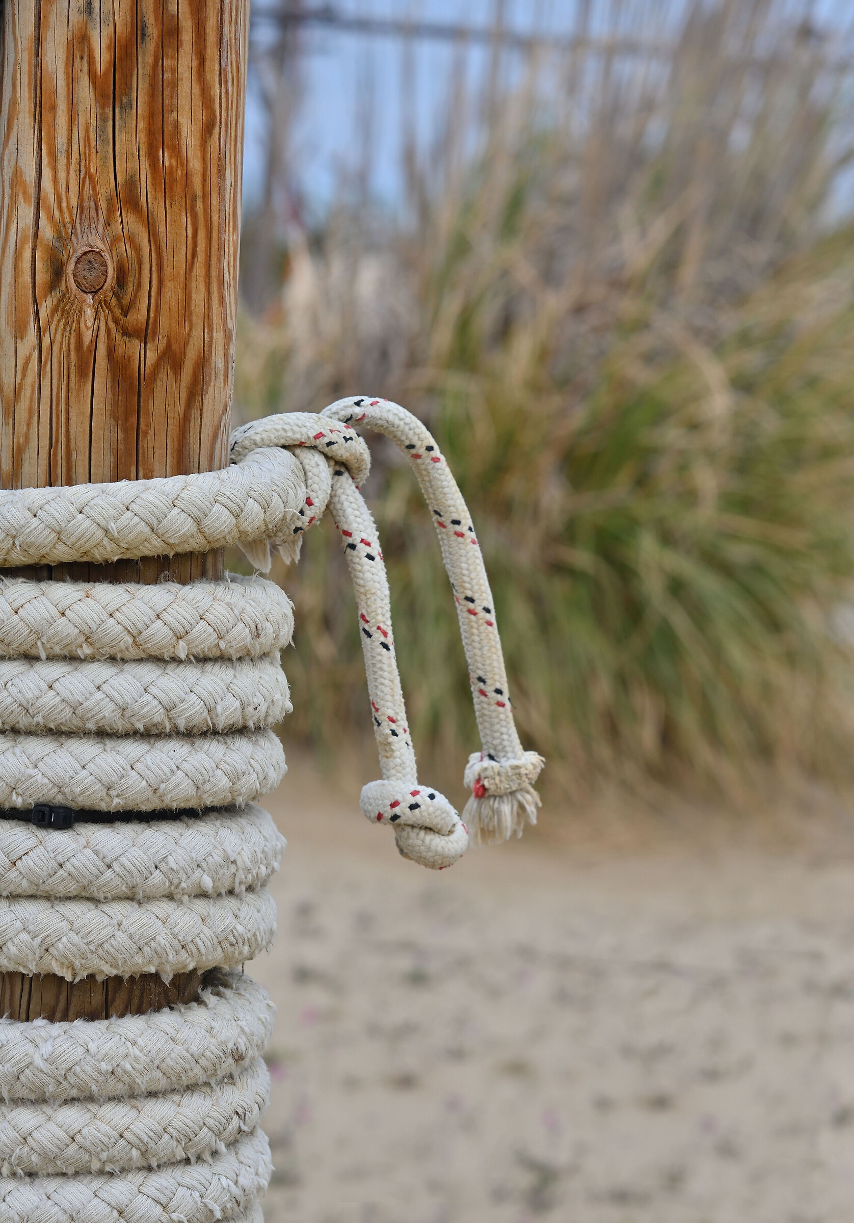 Test Nikon 85 Ai f/2