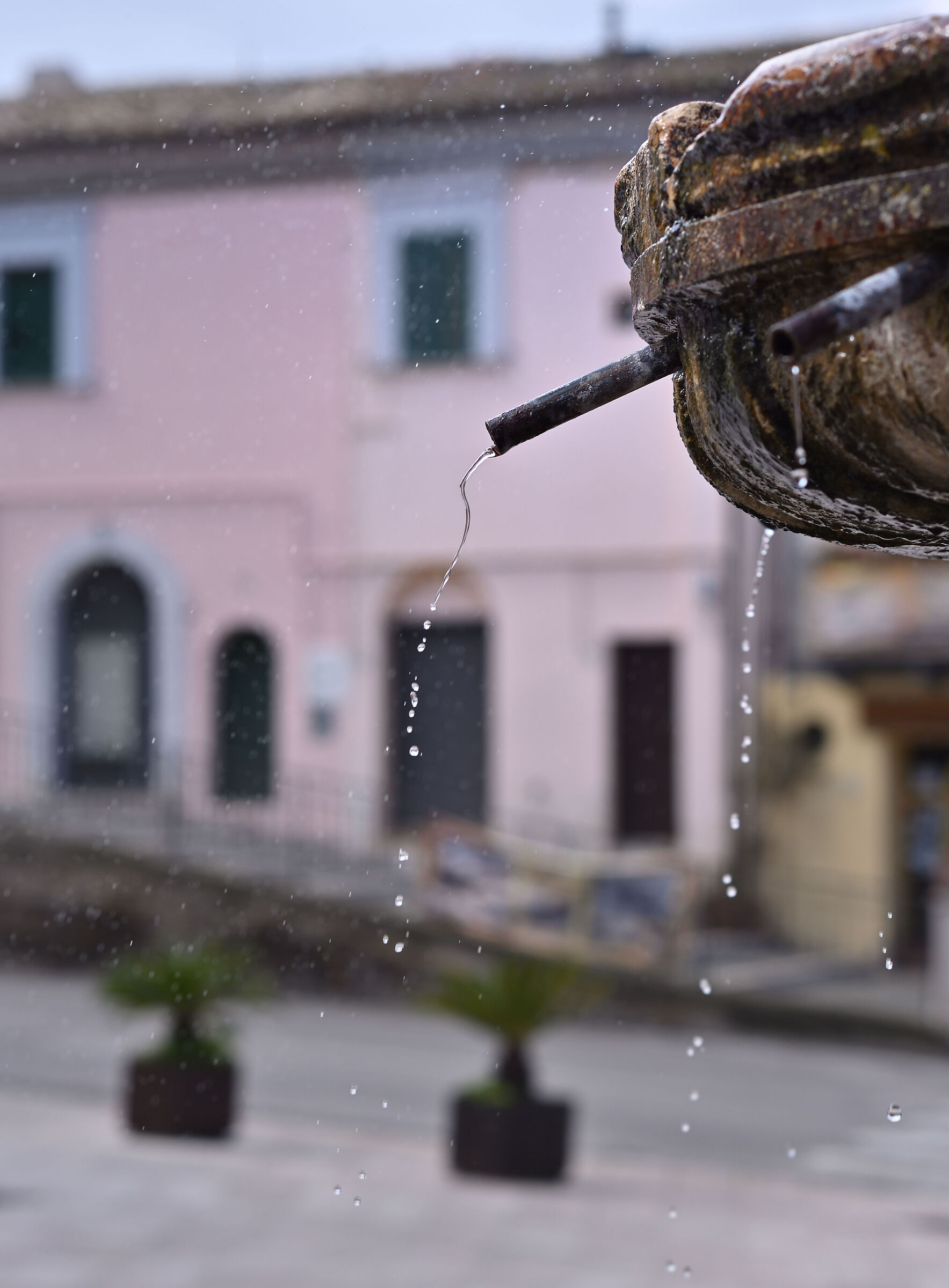 Test Nikon 85 Ai f/2