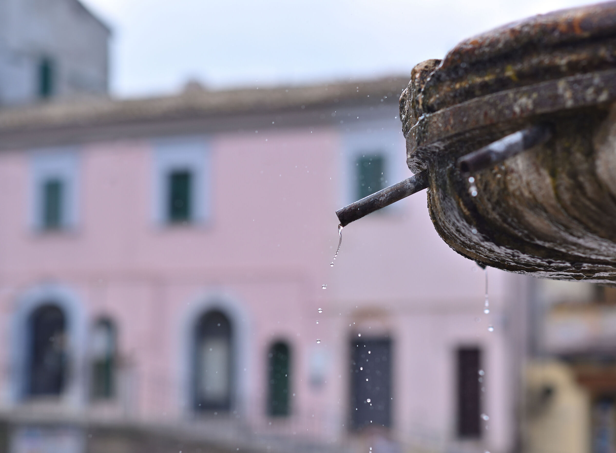 Test Nikon 85 Ai f/2