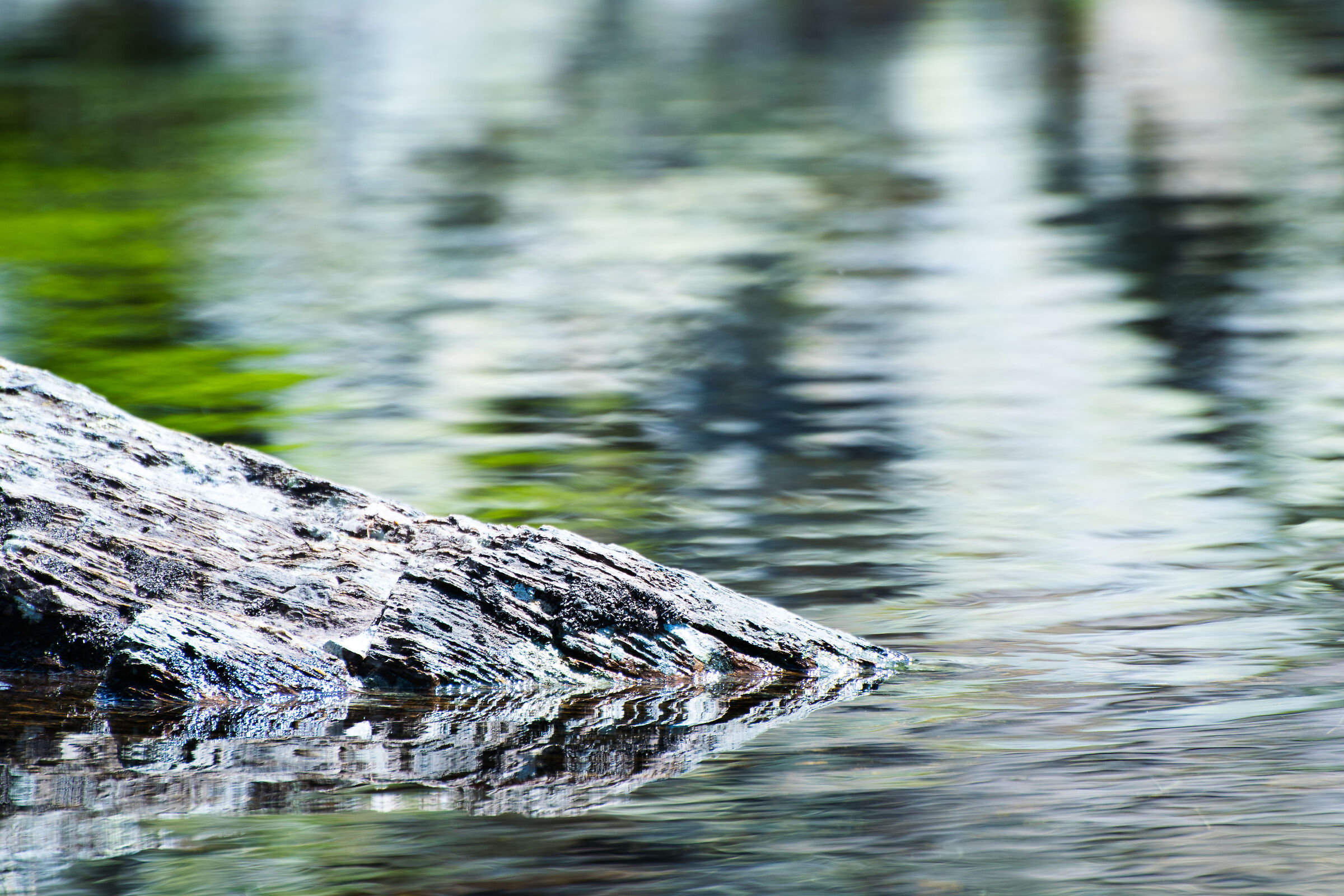 Riflessi (mountain pond)