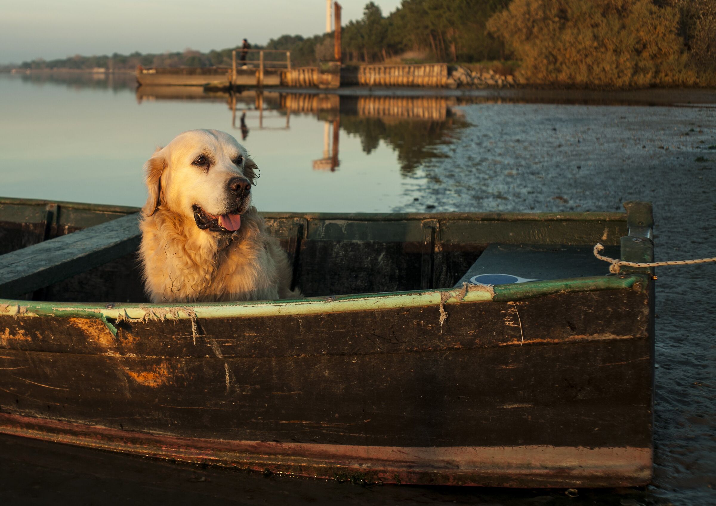 I'm not an illegal immigrant