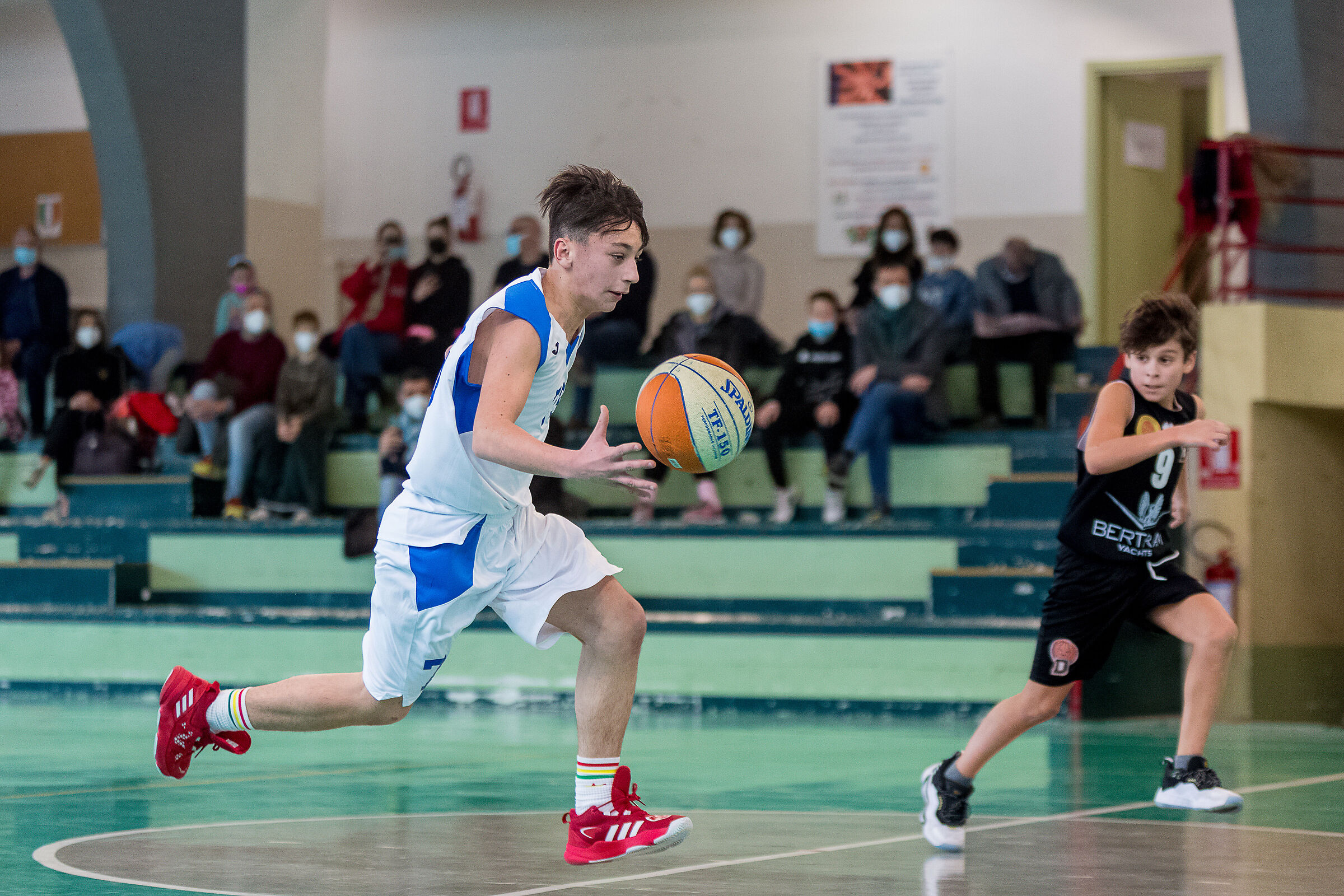 Leo - Virtus Verbania Basket