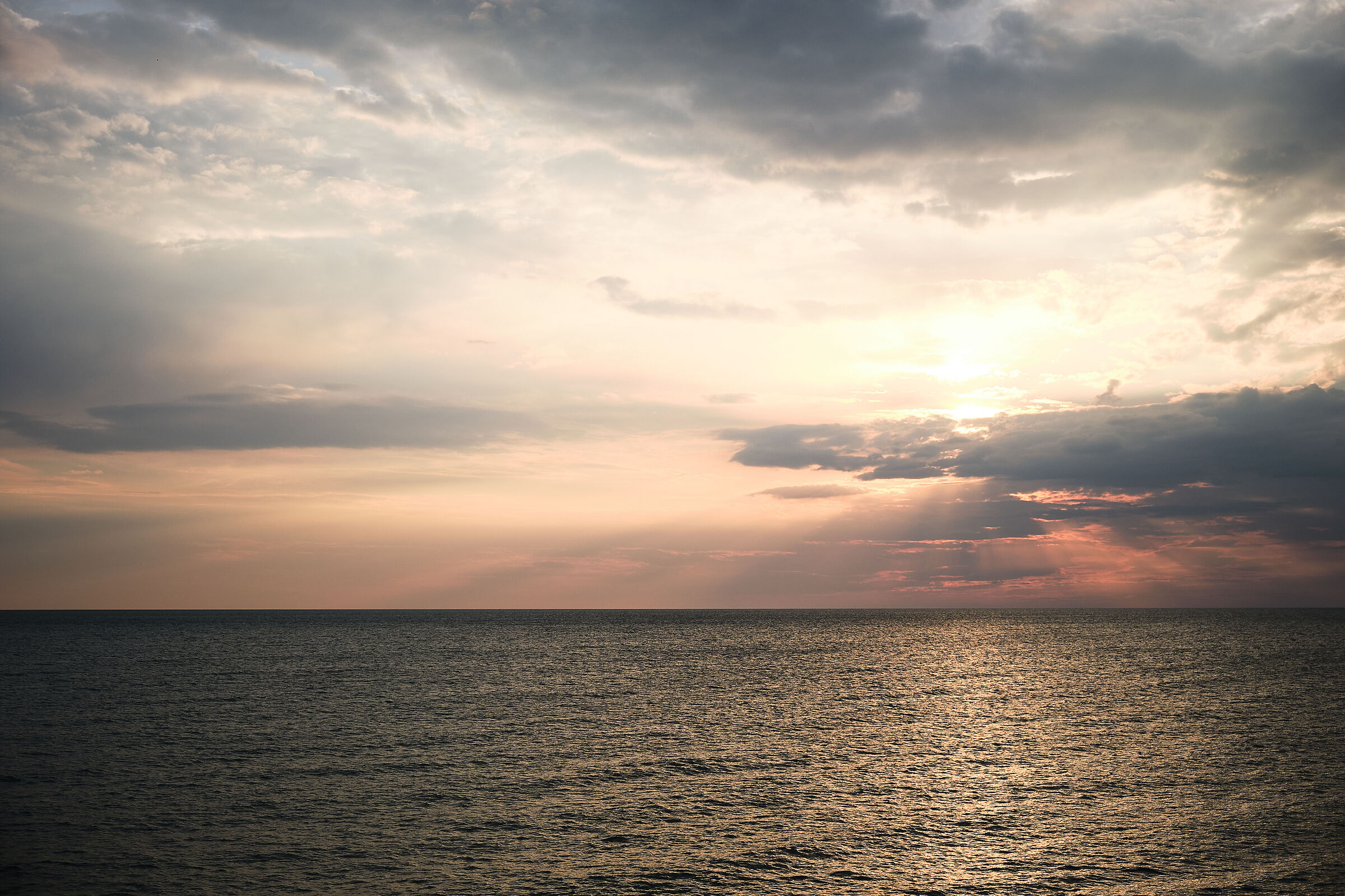Untitled Photo