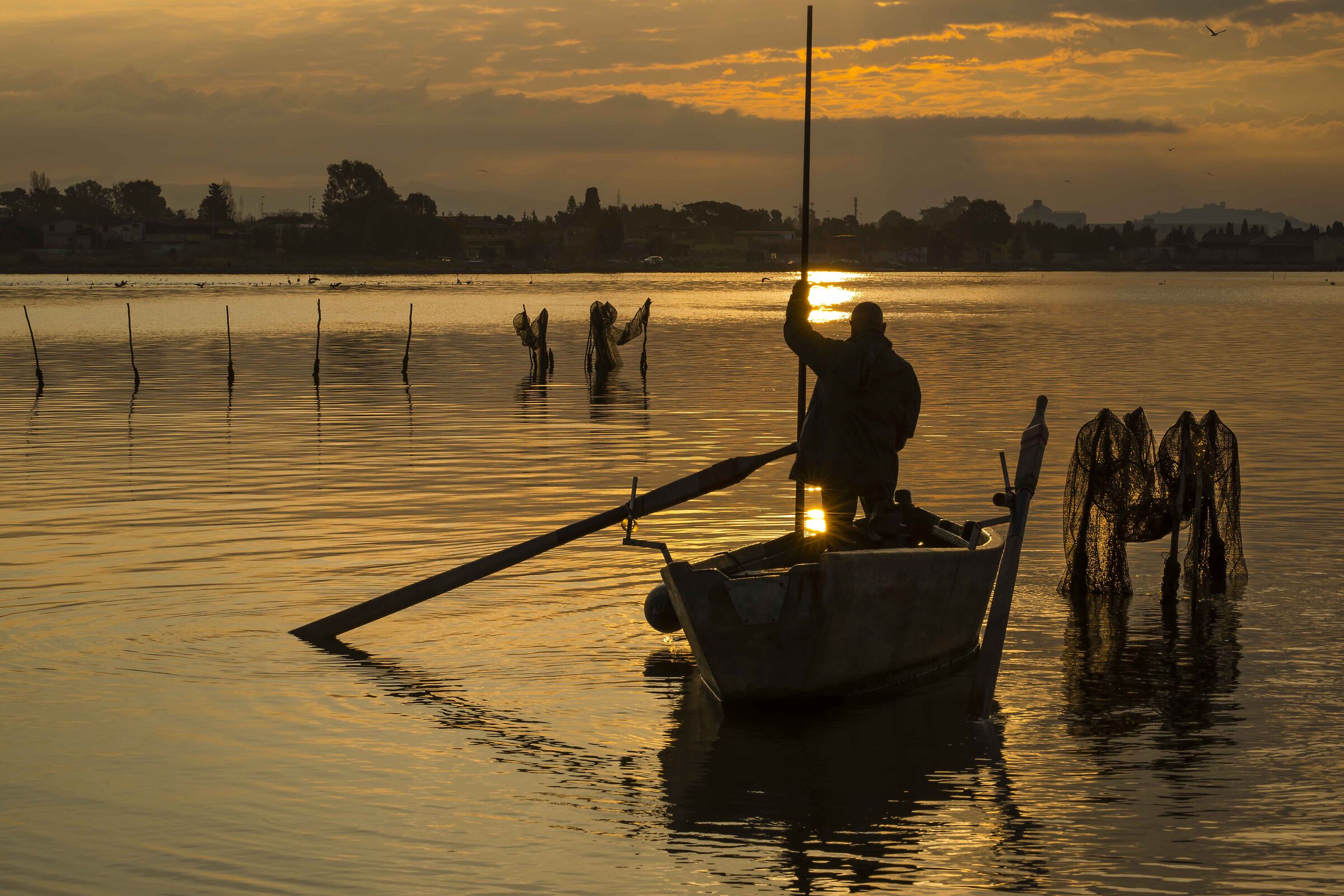 Fishing in gold, Alba a giliacquas