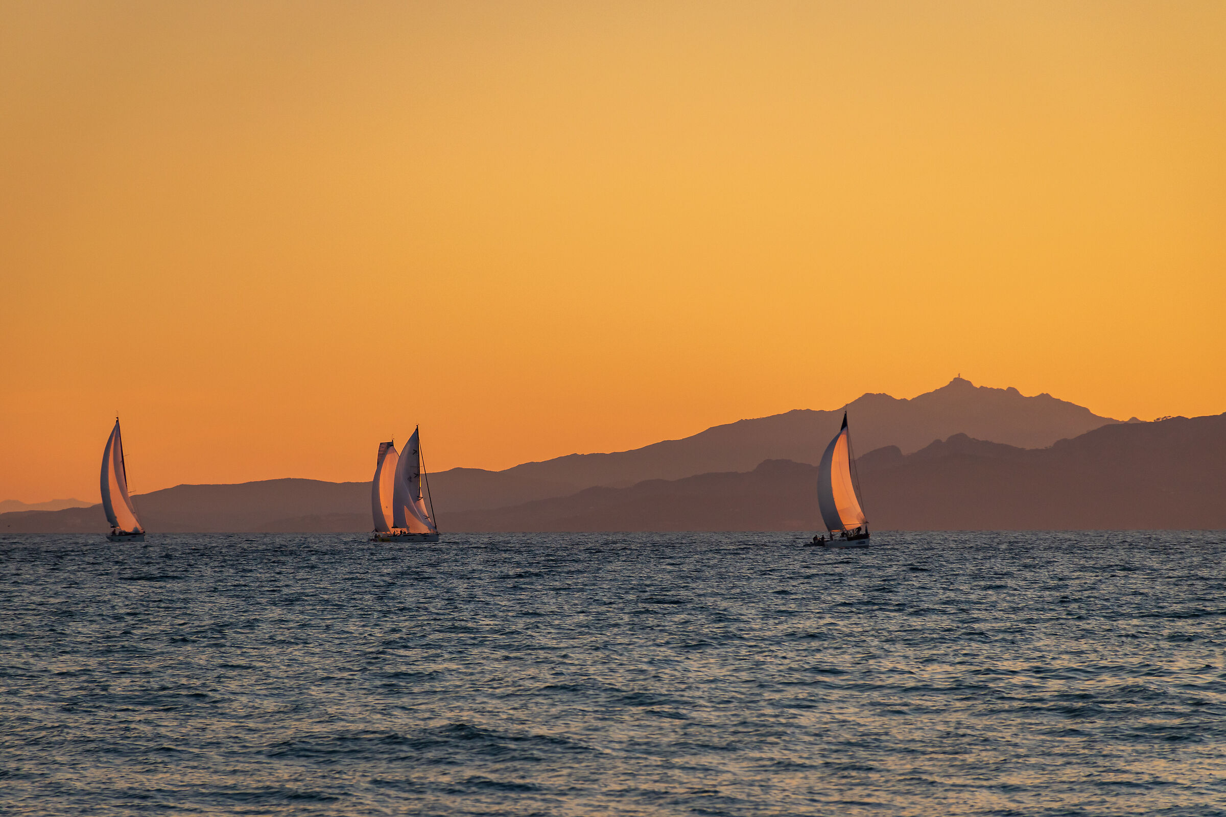 L'arrivo della regata/Regattas arrival