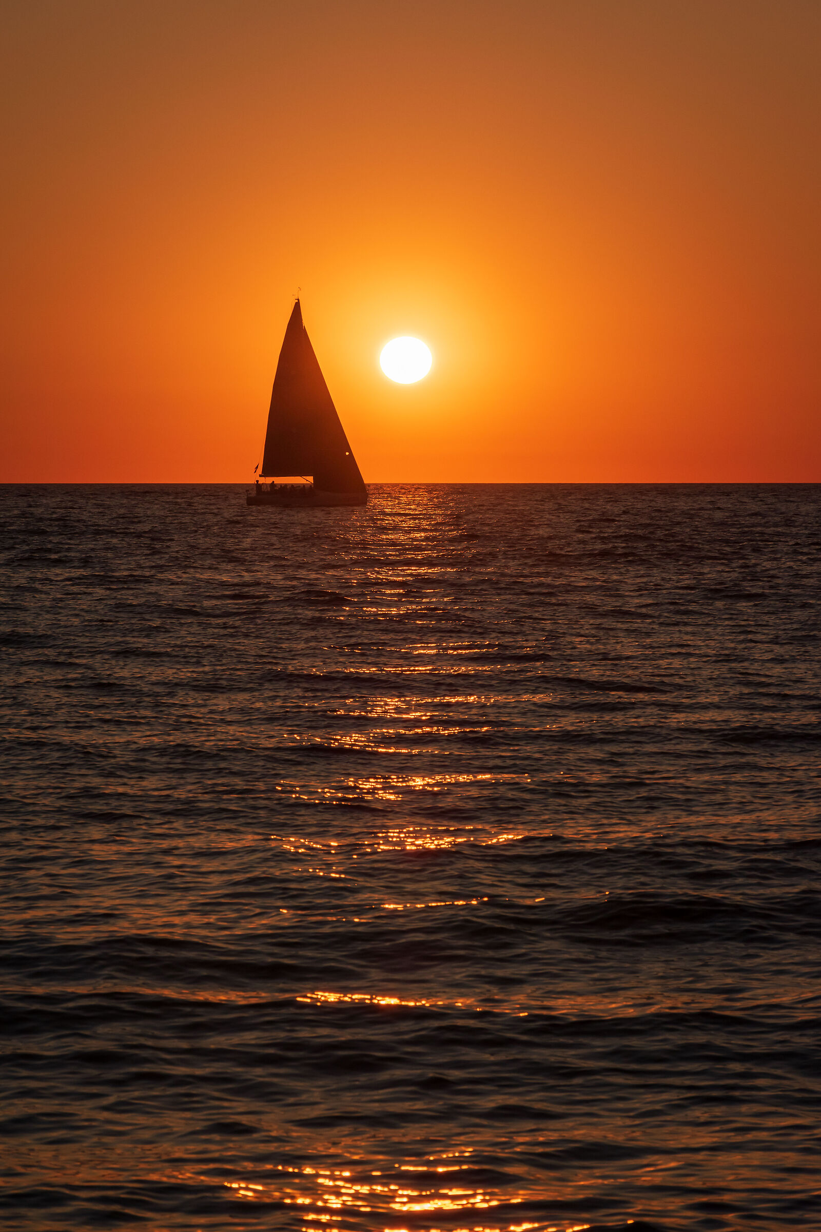 The arrival of regatta #2/Regattas arrival #2