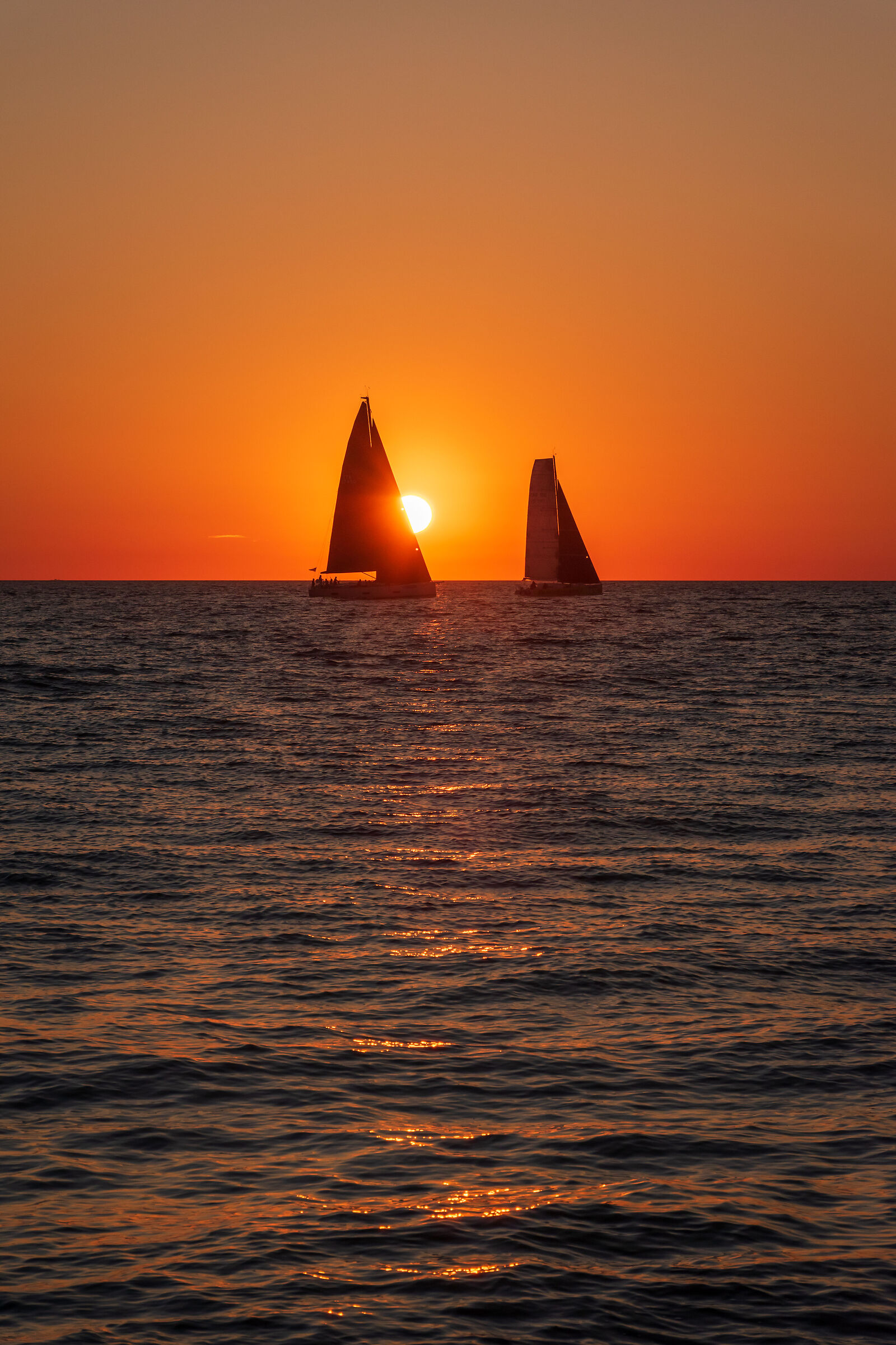 The arrival of regatta #3/Regattas arrival #3