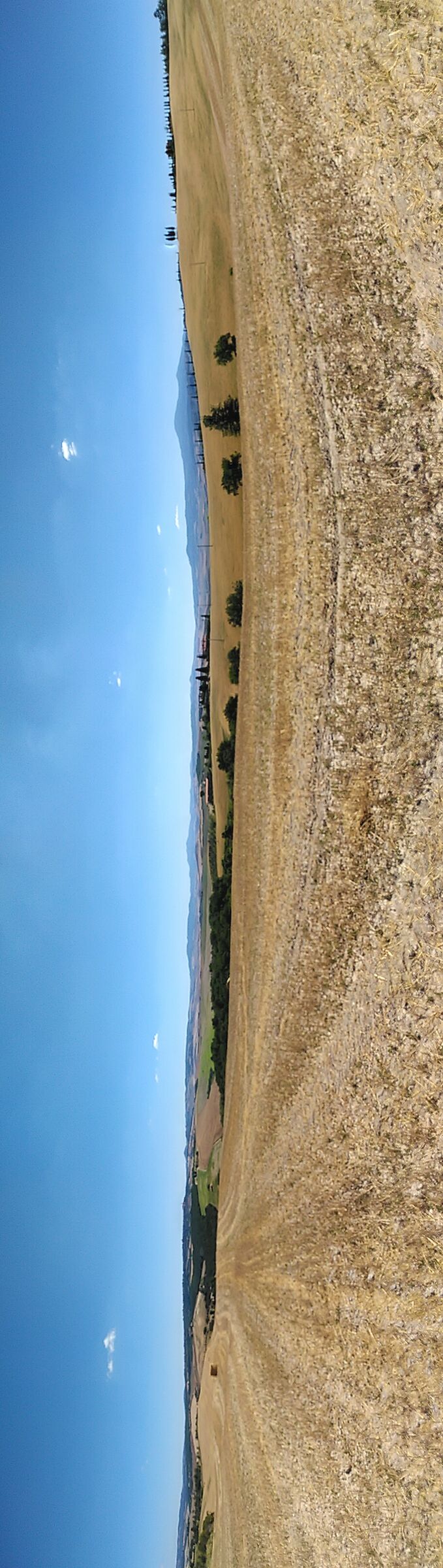 Untitled Photo
