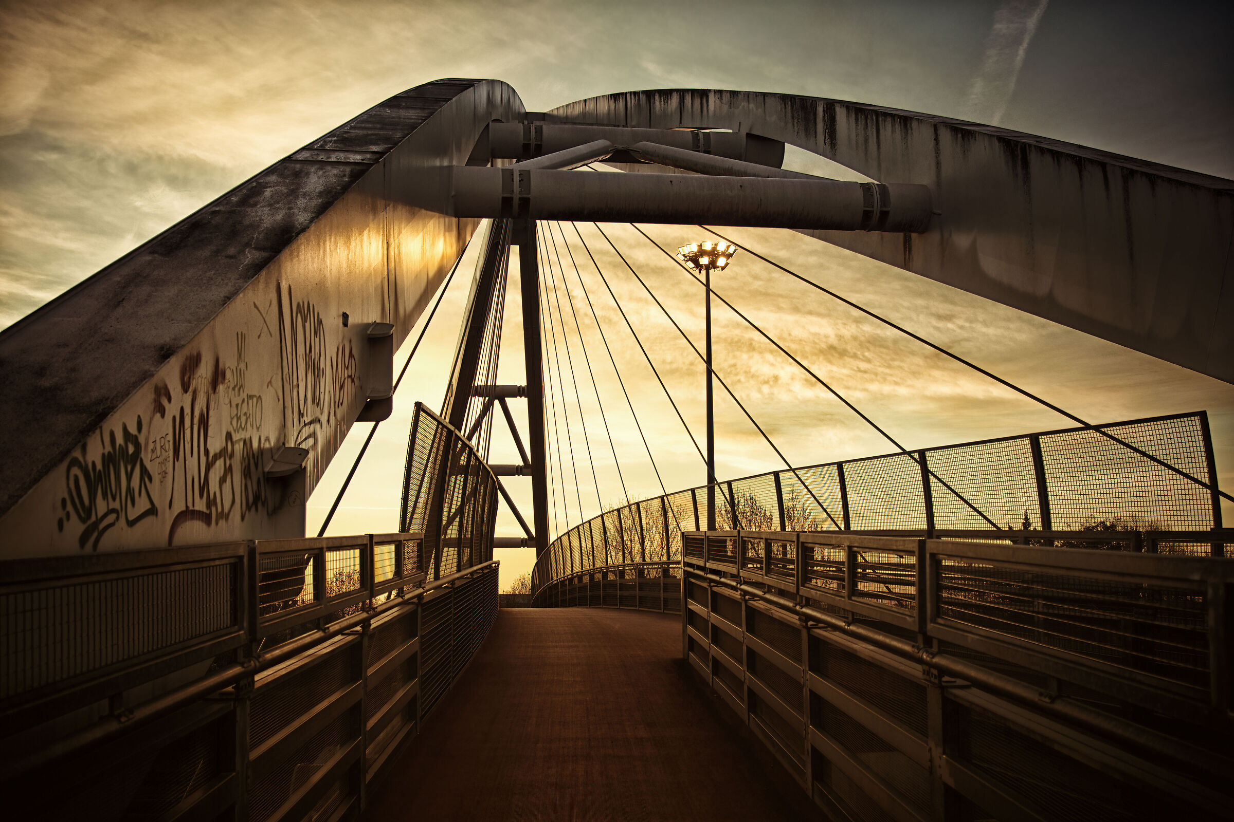 The bridge