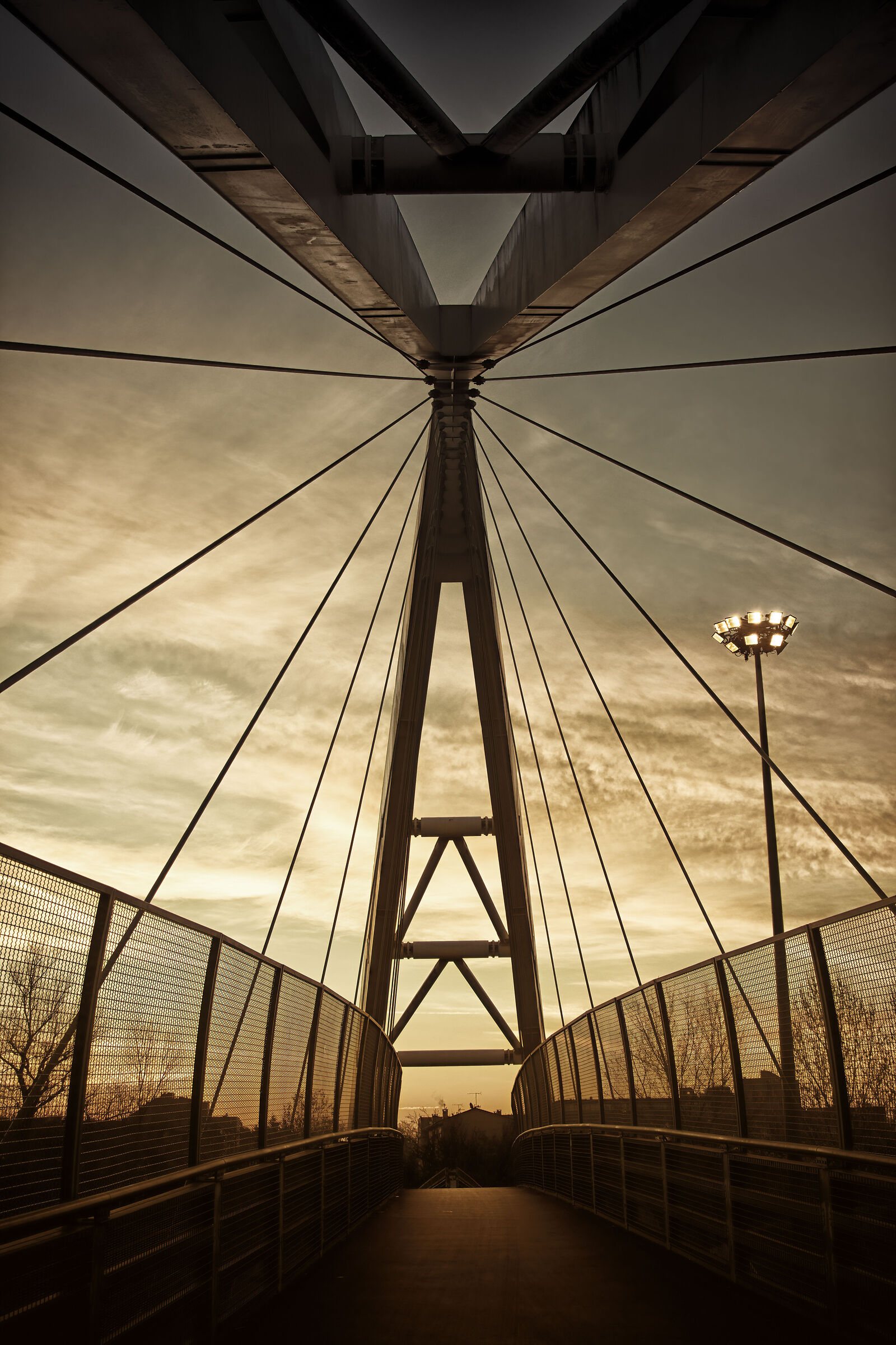 The bridge