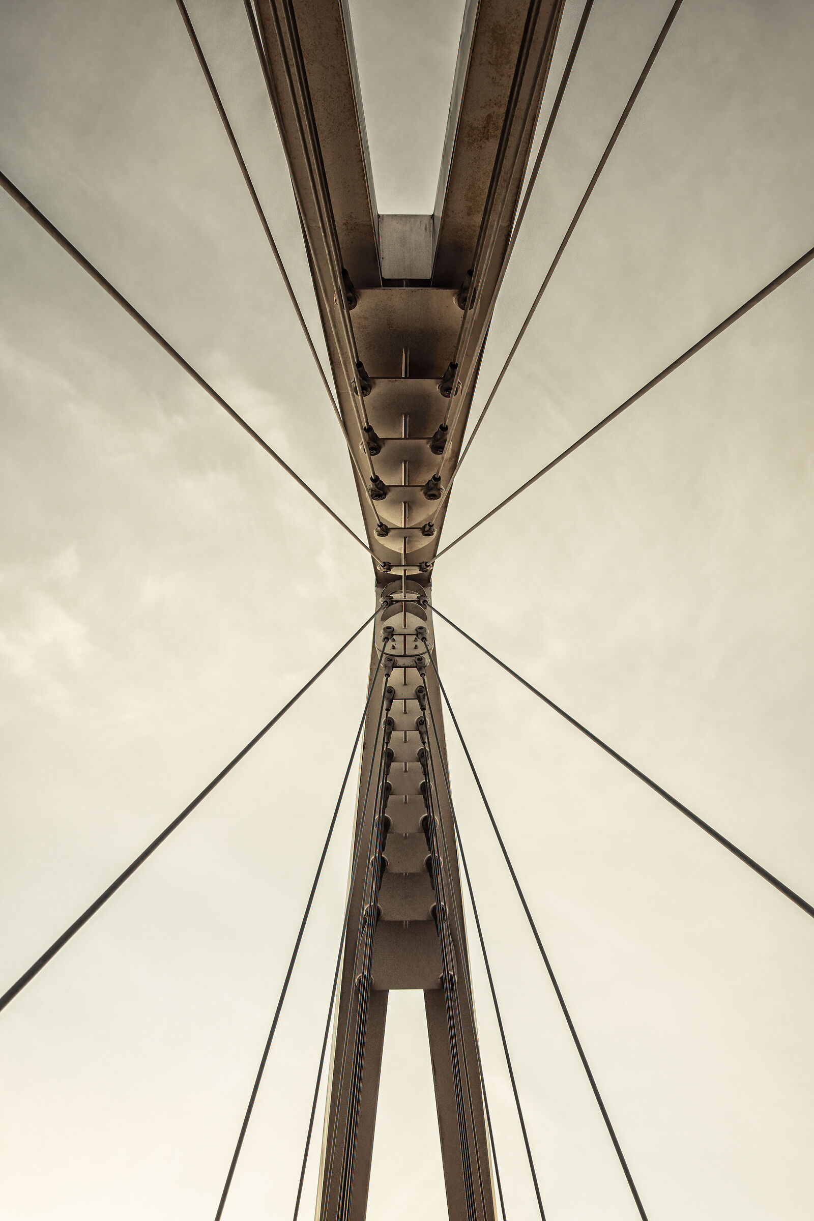 The bridge