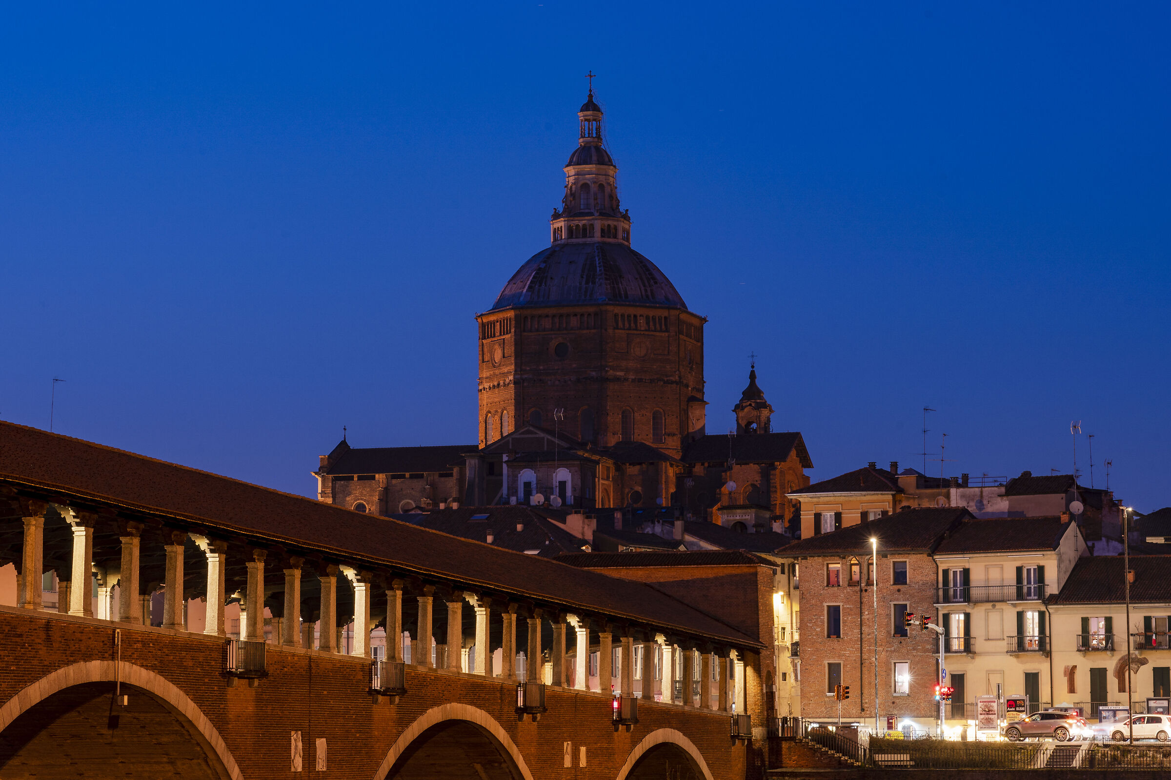 Pavia
