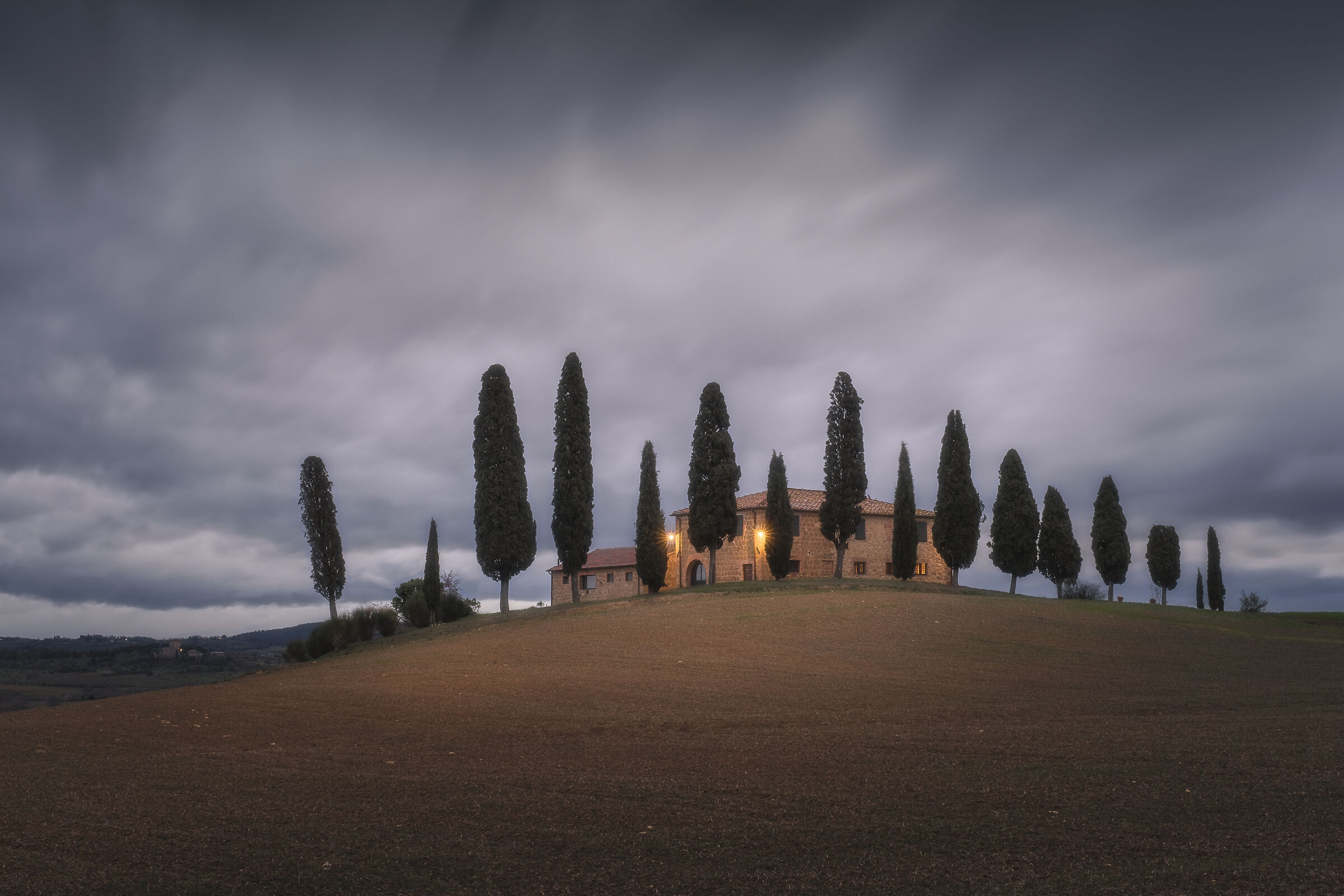 The cypresses
