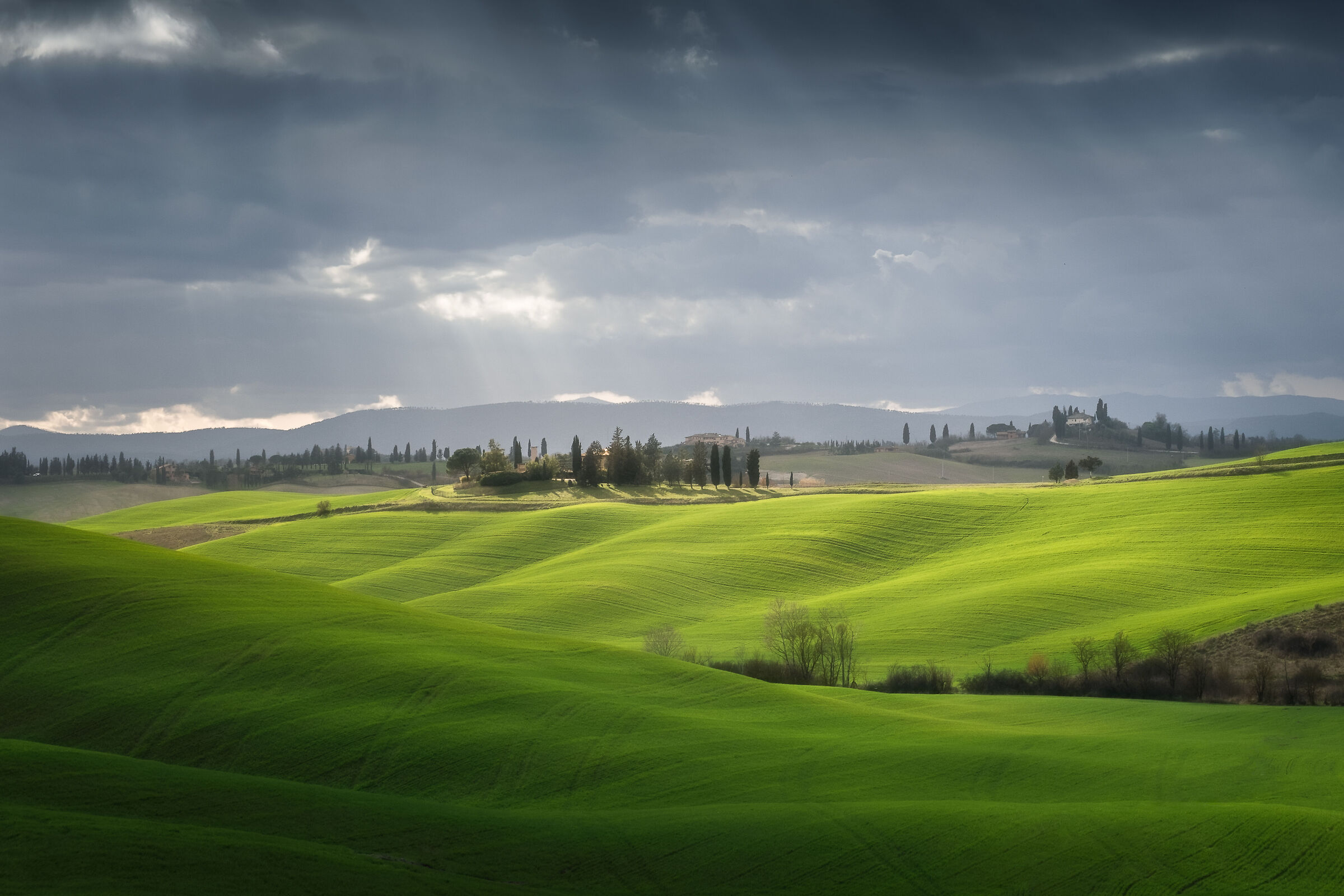 Green hills