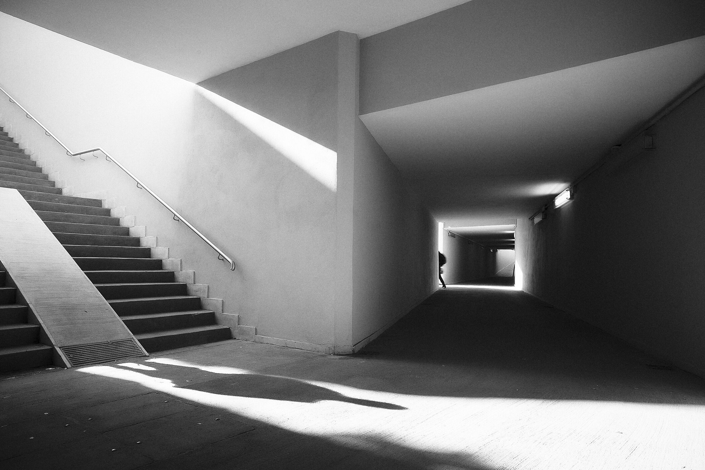 Fleeting perspectives