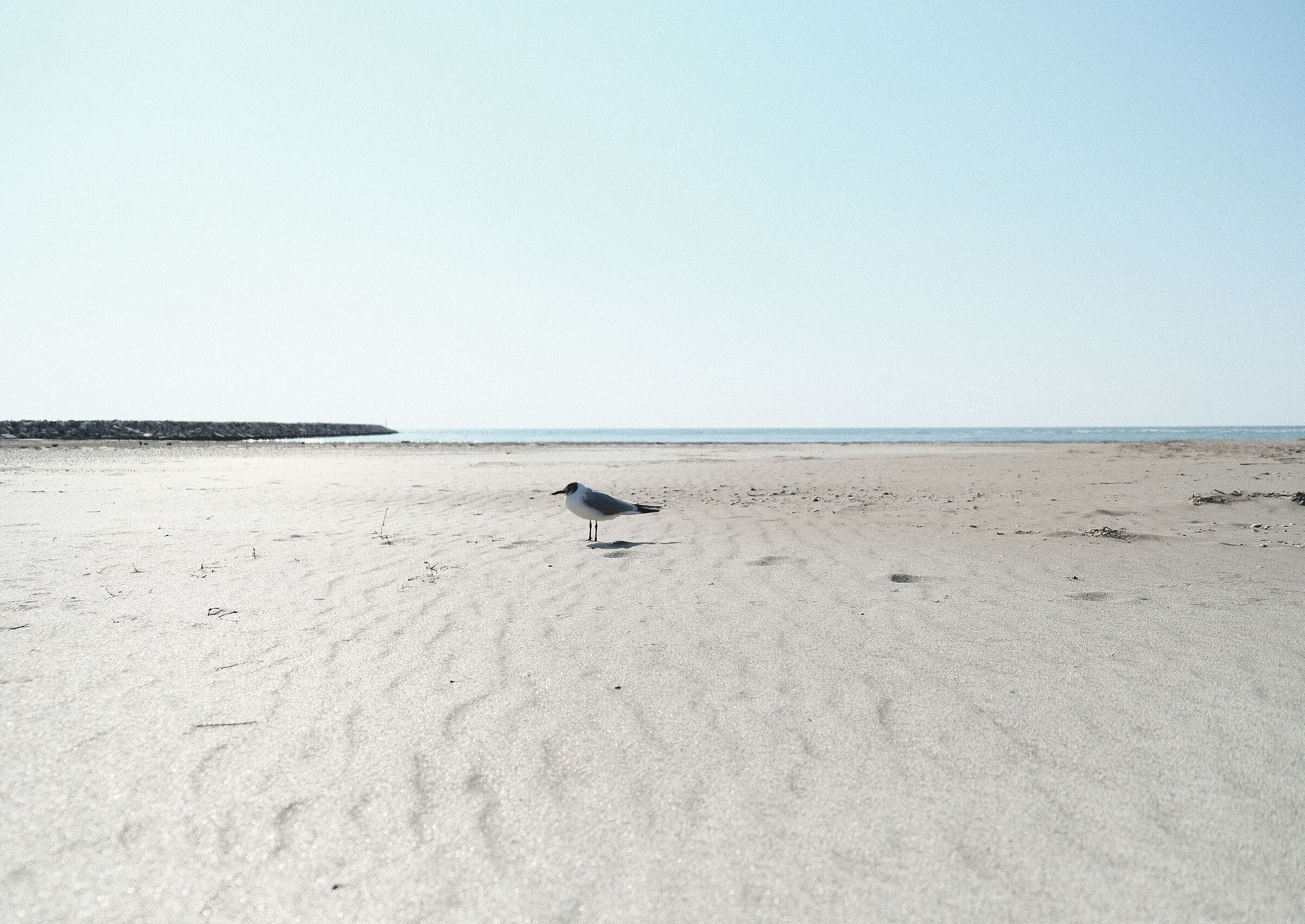 Caorle eternal