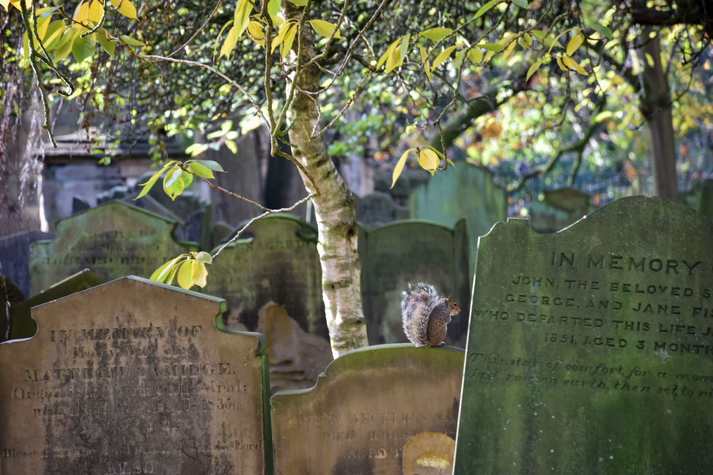 Unexpected meetings in York