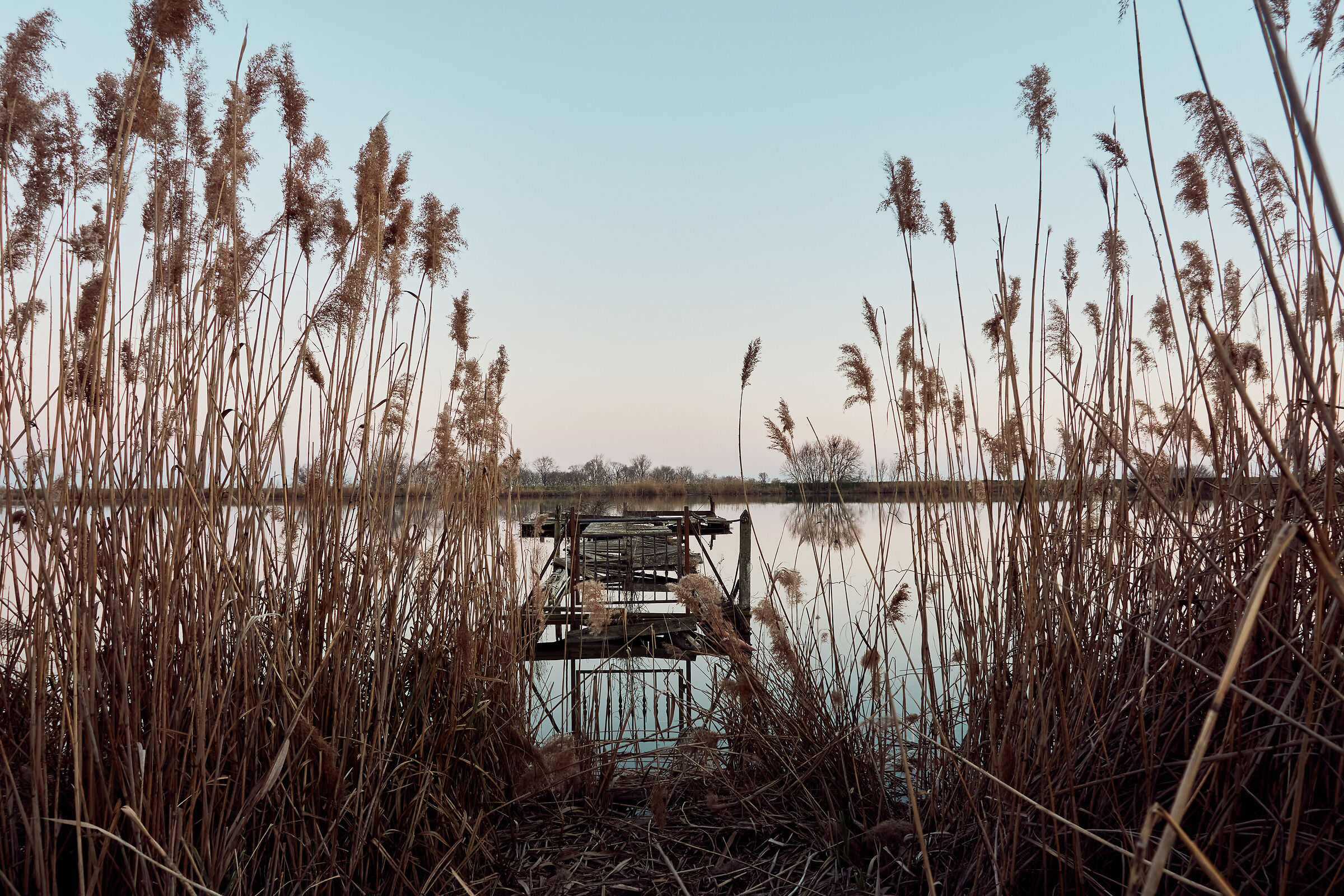 Valllette by Ostellato #2