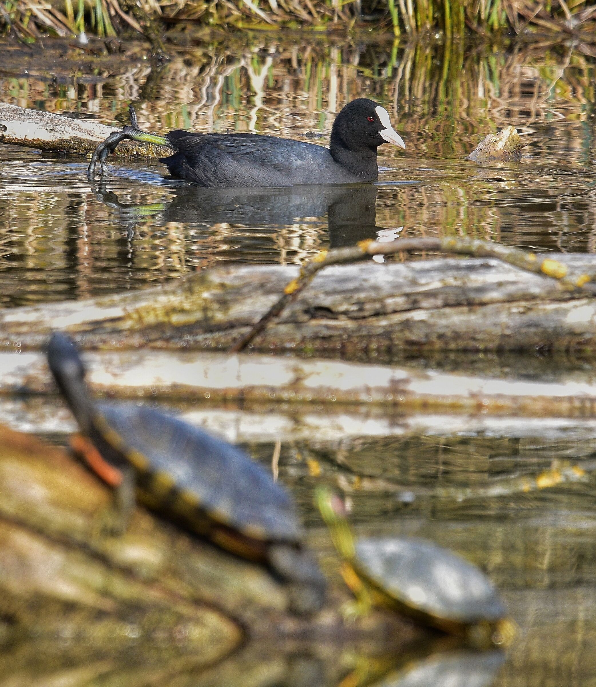 Babbo guarda che stile !!!