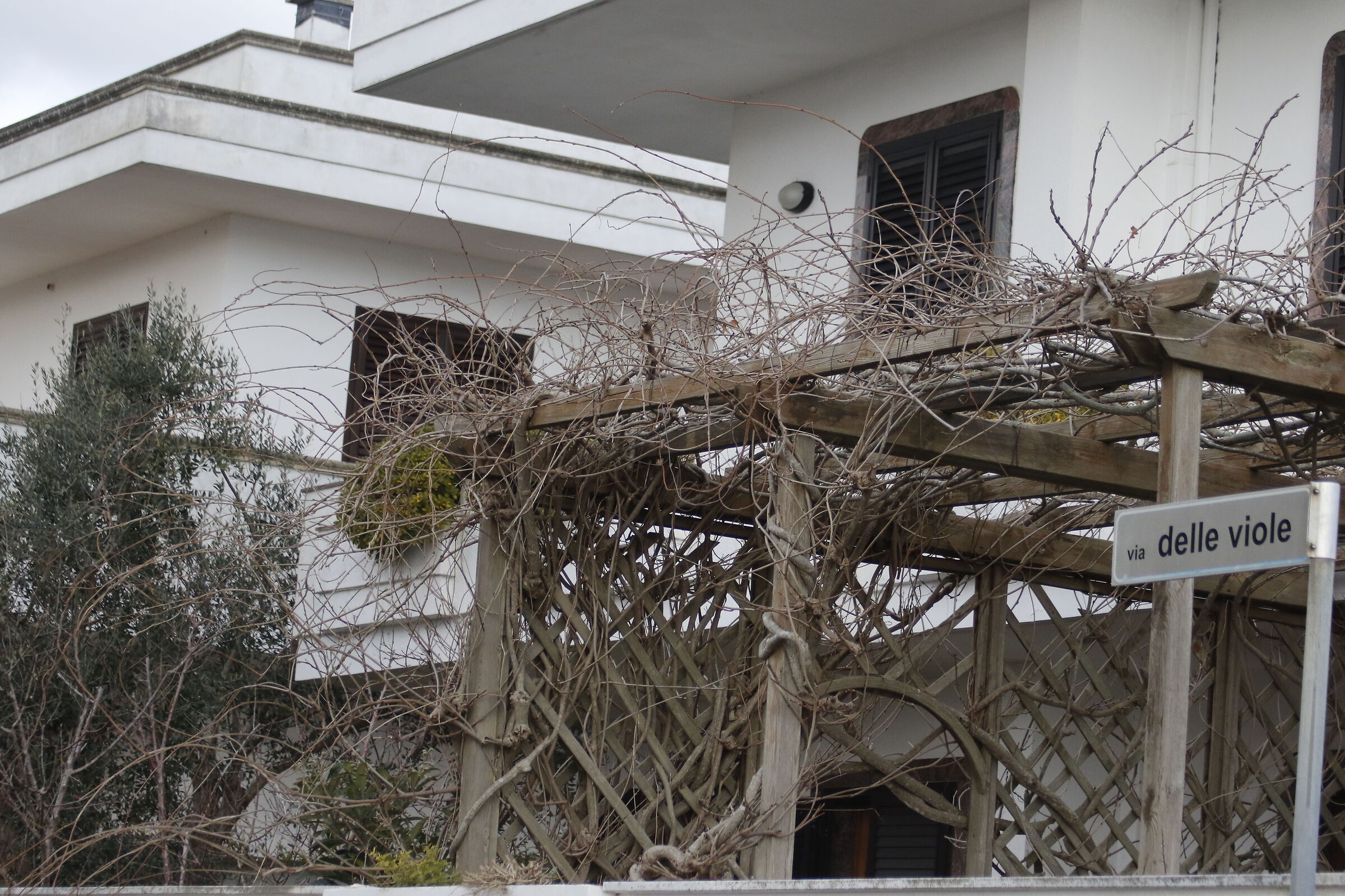 Canon 7D II- 70-300 DO IS USM