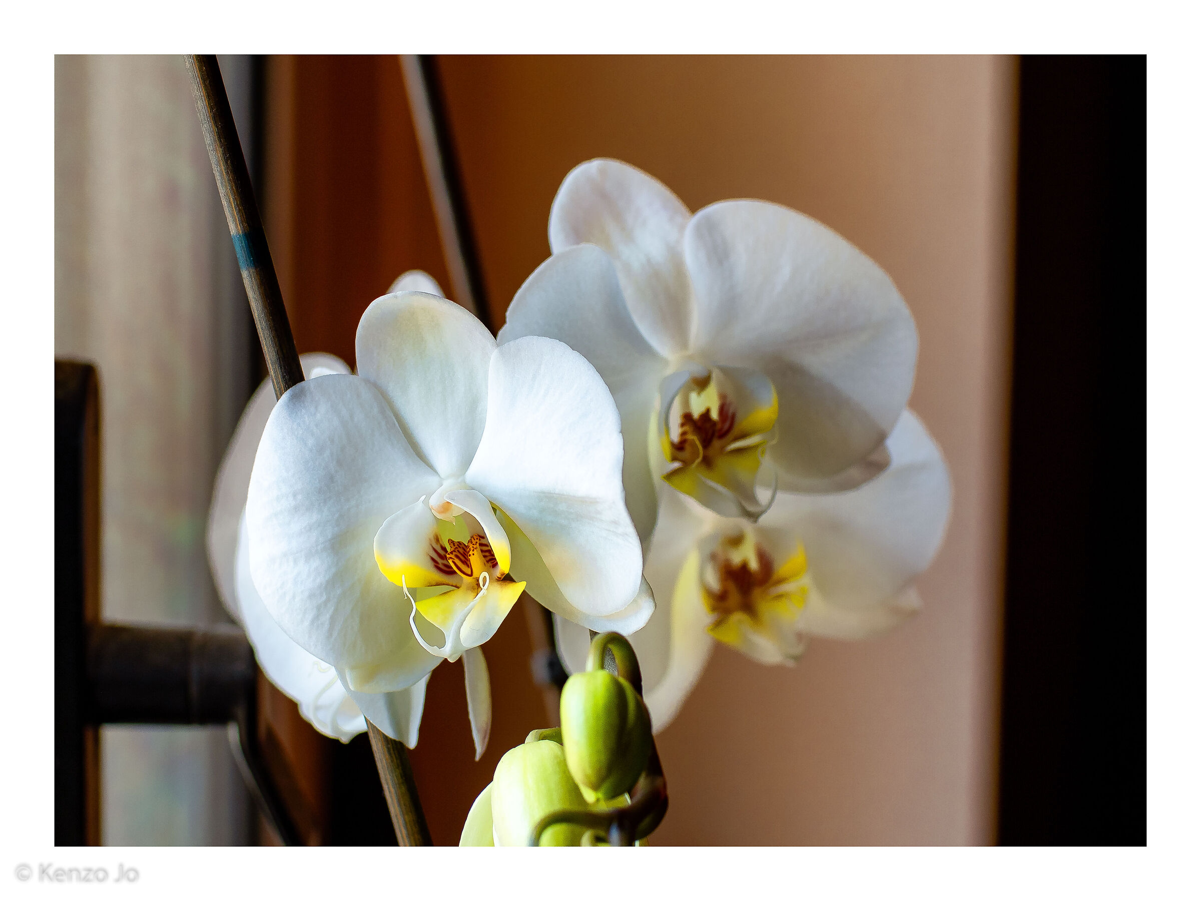 Sensualità e erotismo