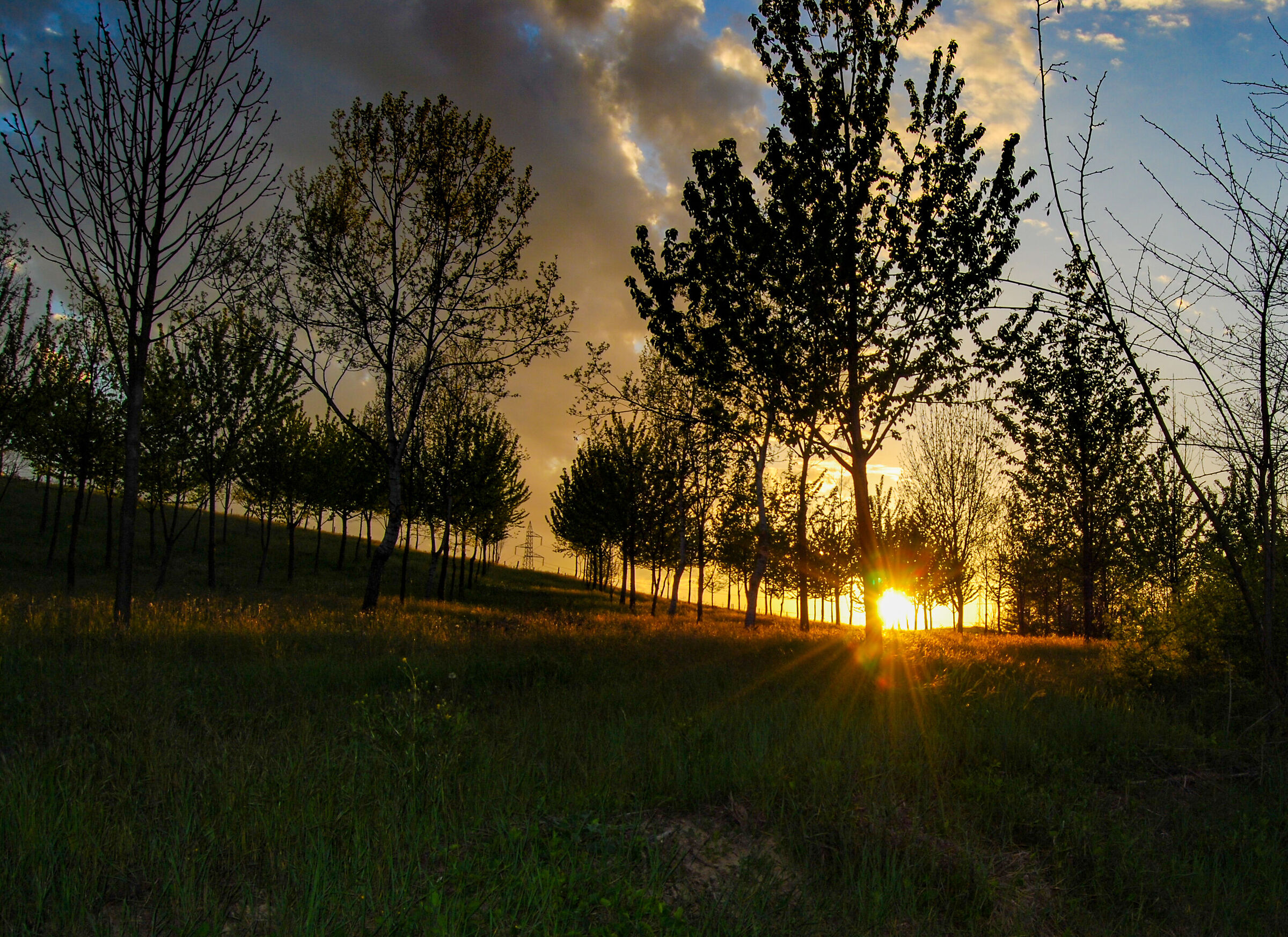 sundark