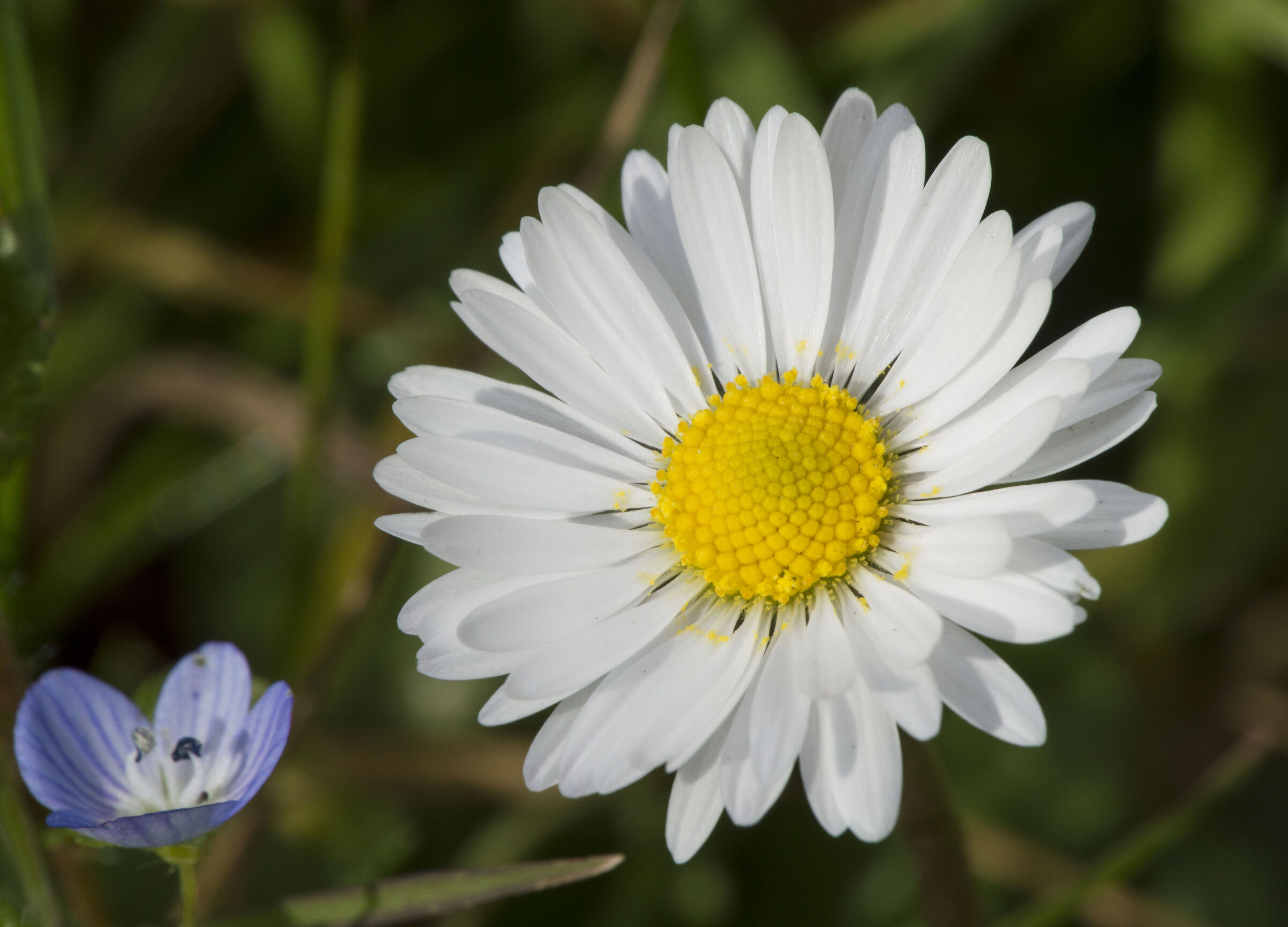 Untitled Photo