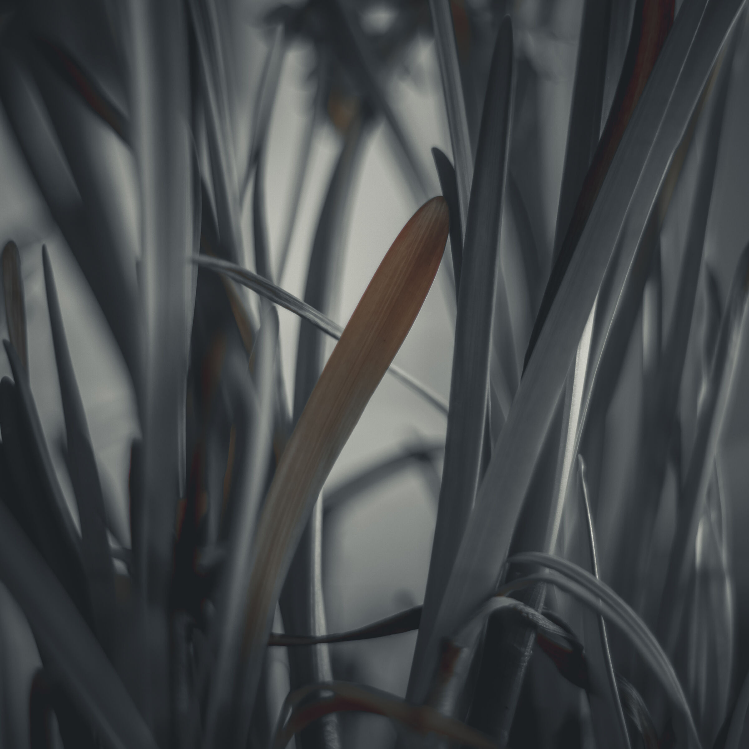 Tests-with-Sony2011a35