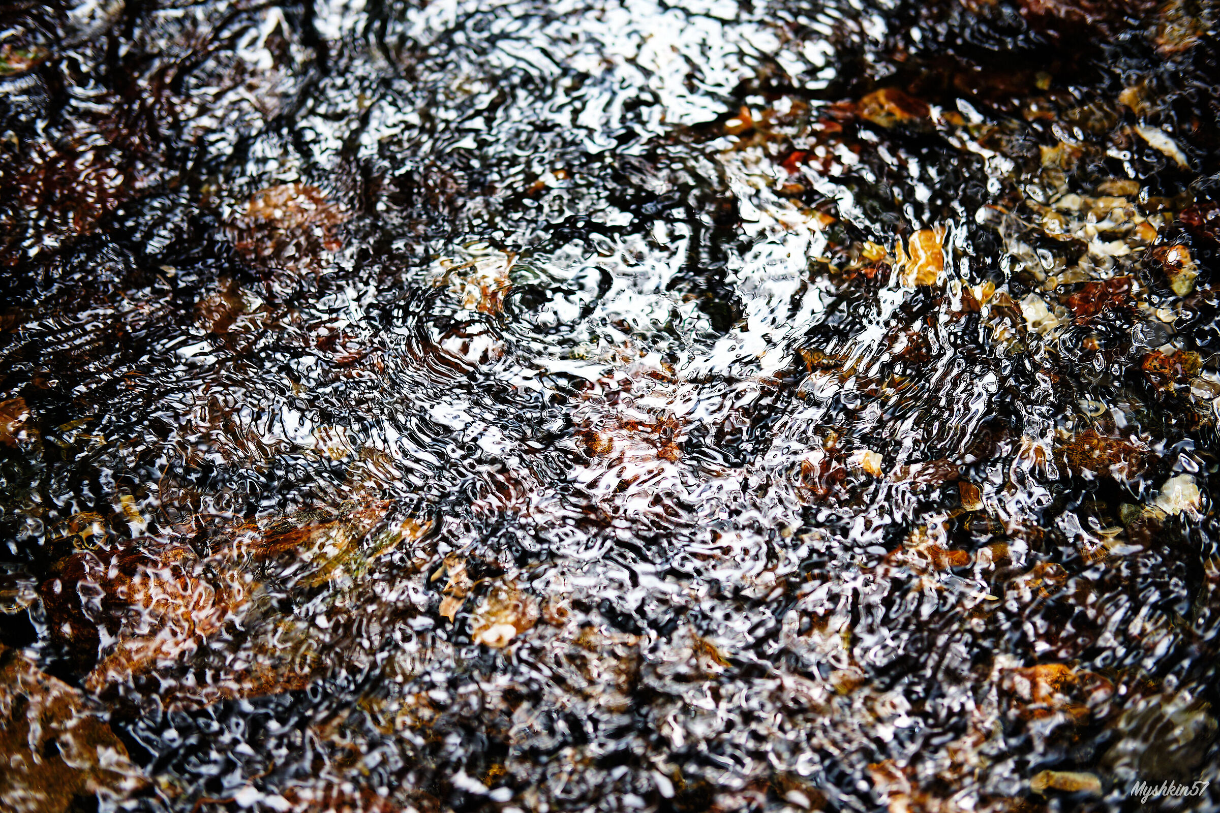 Reflections 2