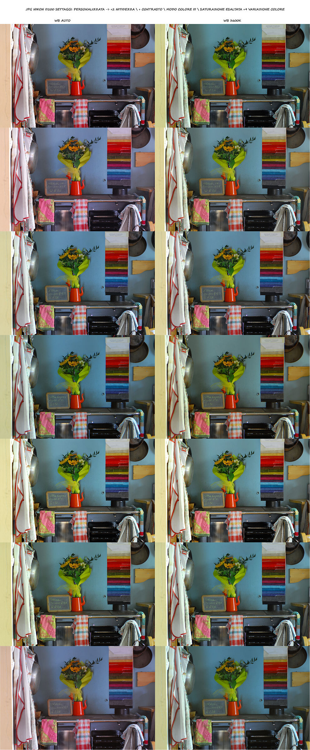 d200 colori obiettivi zoom