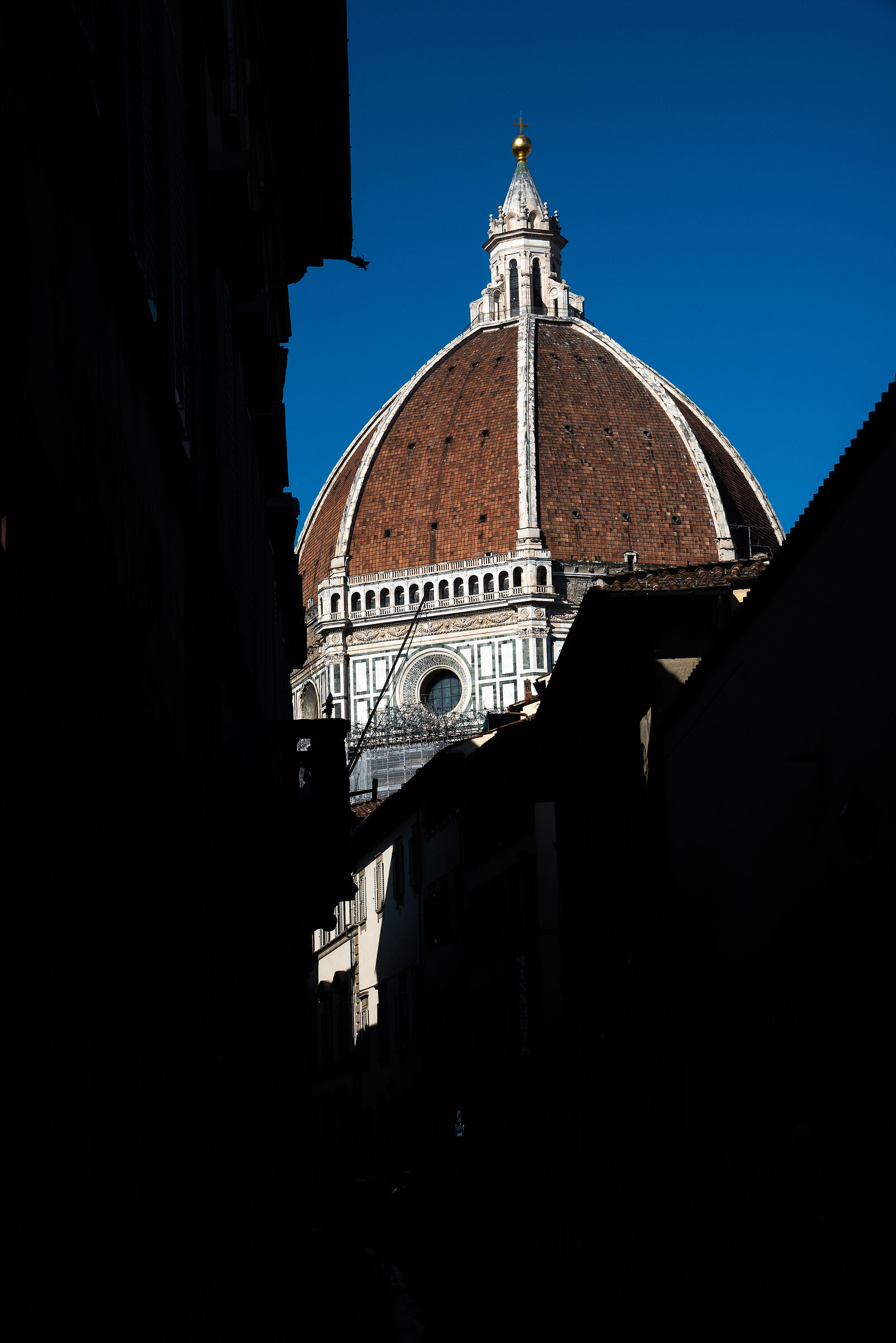 Florence in one shot