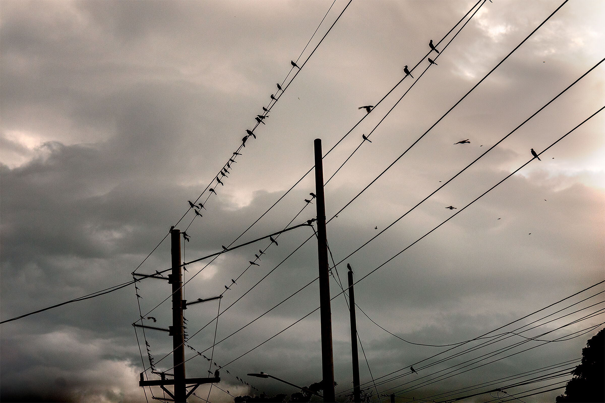 Posatoio stradale.,.