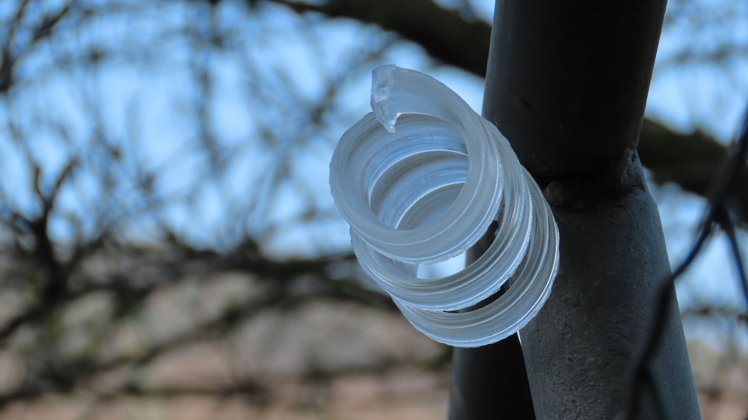 Bizarre Ice 3