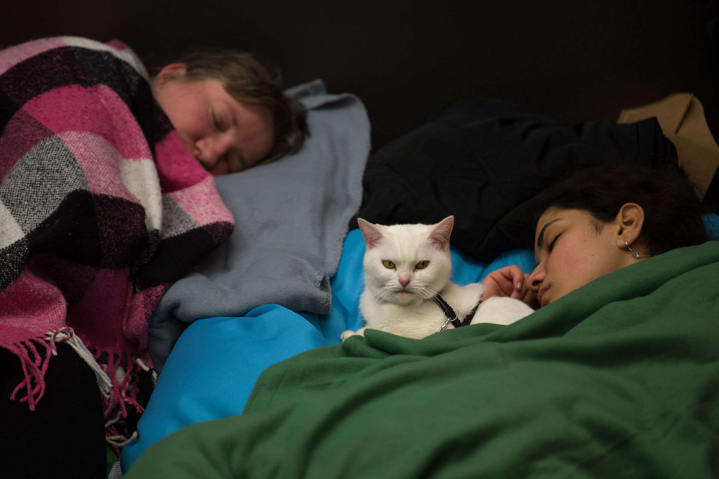 Rifugiati dall'Ucraina in Polonia.