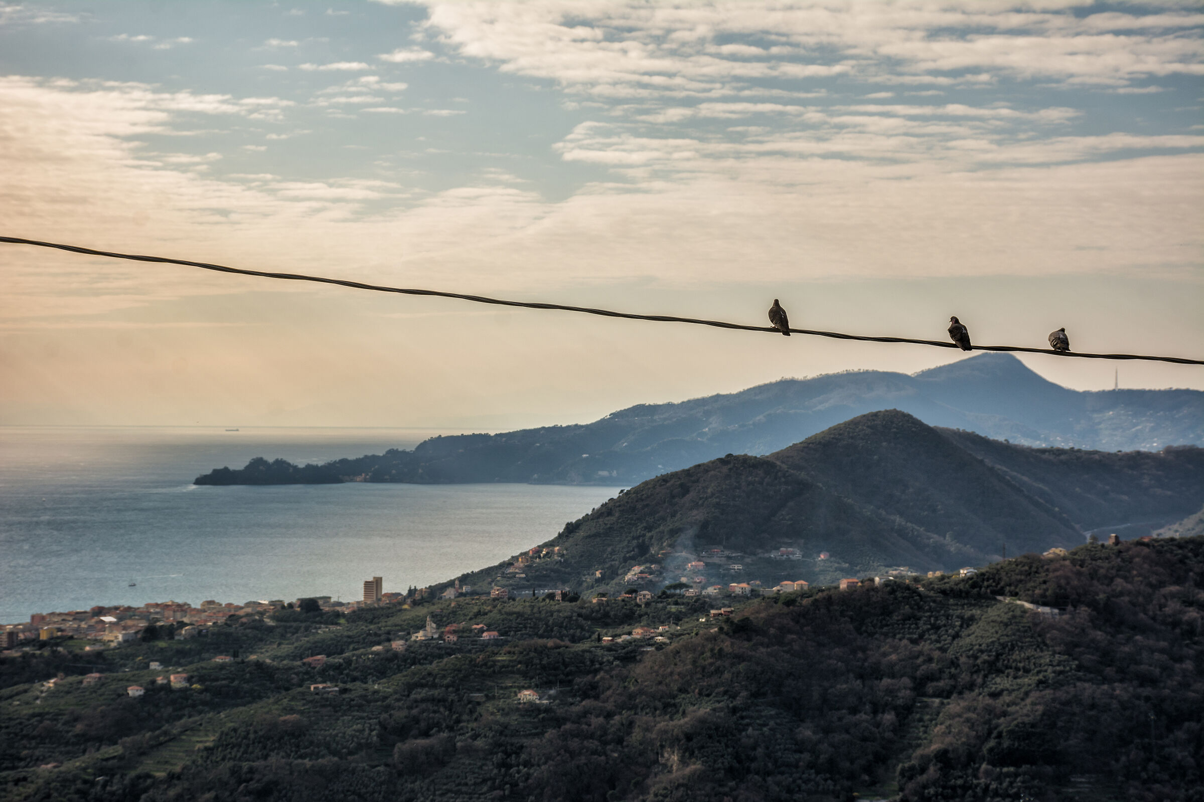 Tre posti in prima fila