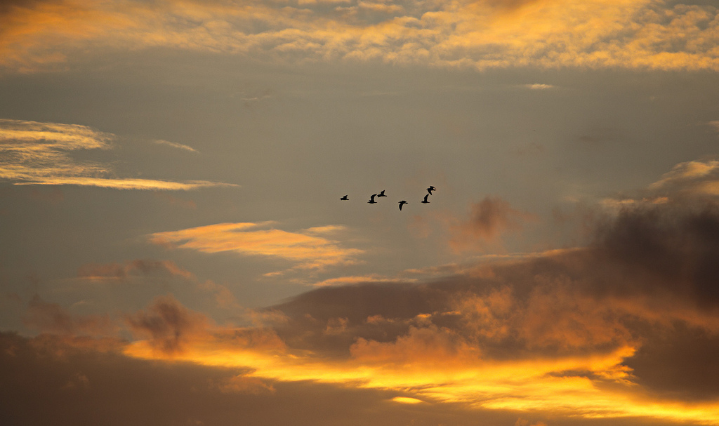 Passando il tramonto