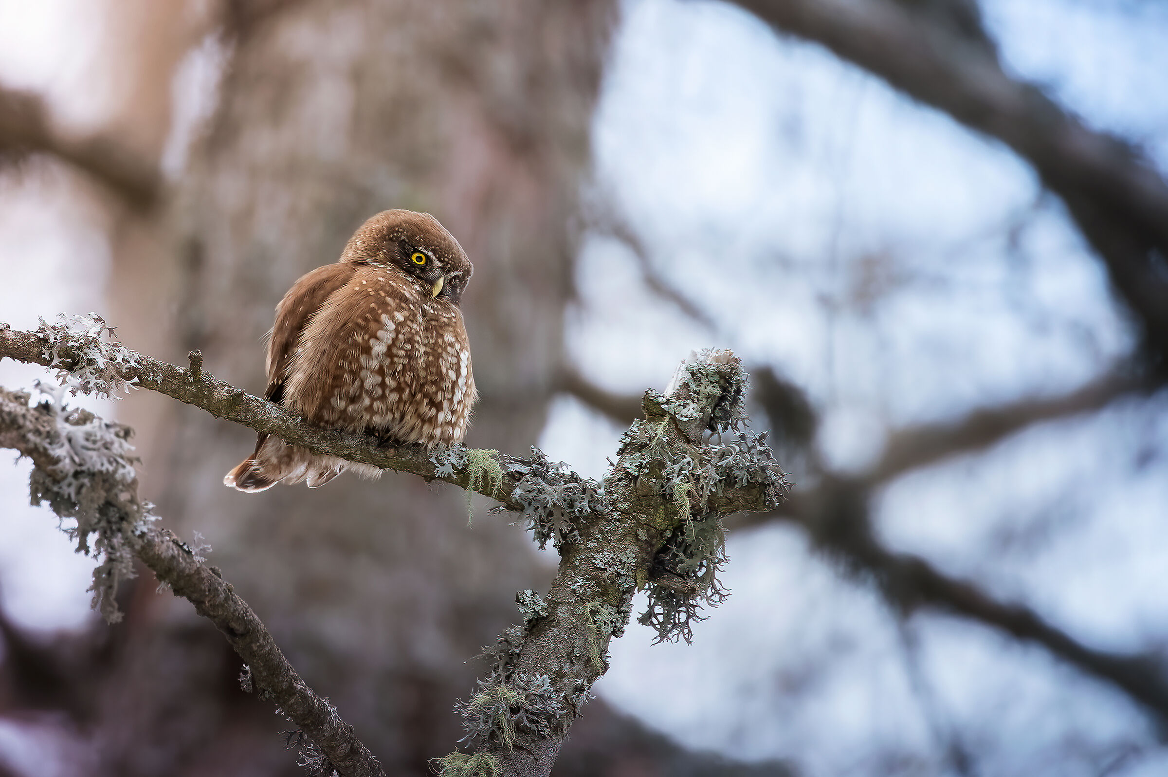 Magical encounter