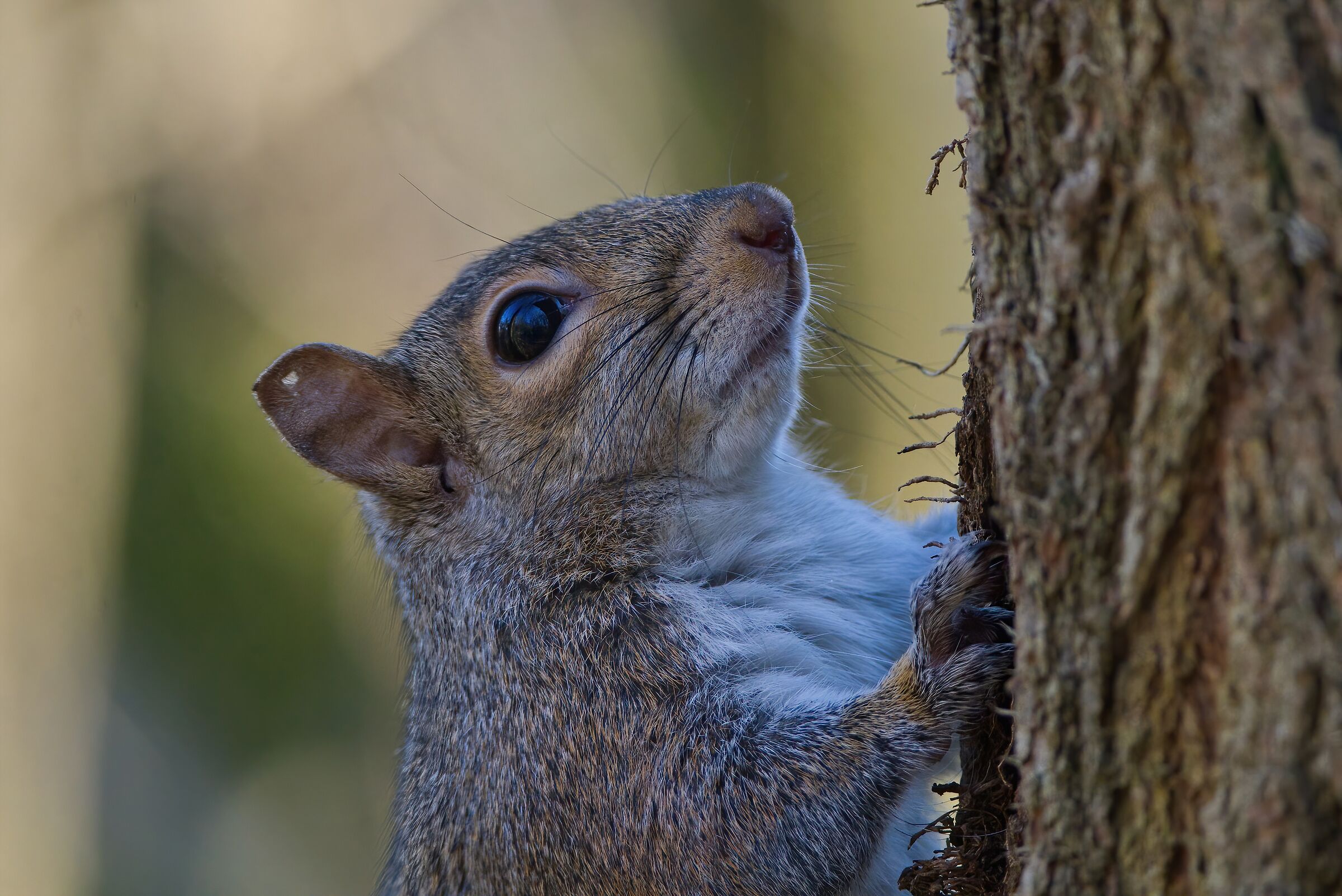 What a beautiful little face