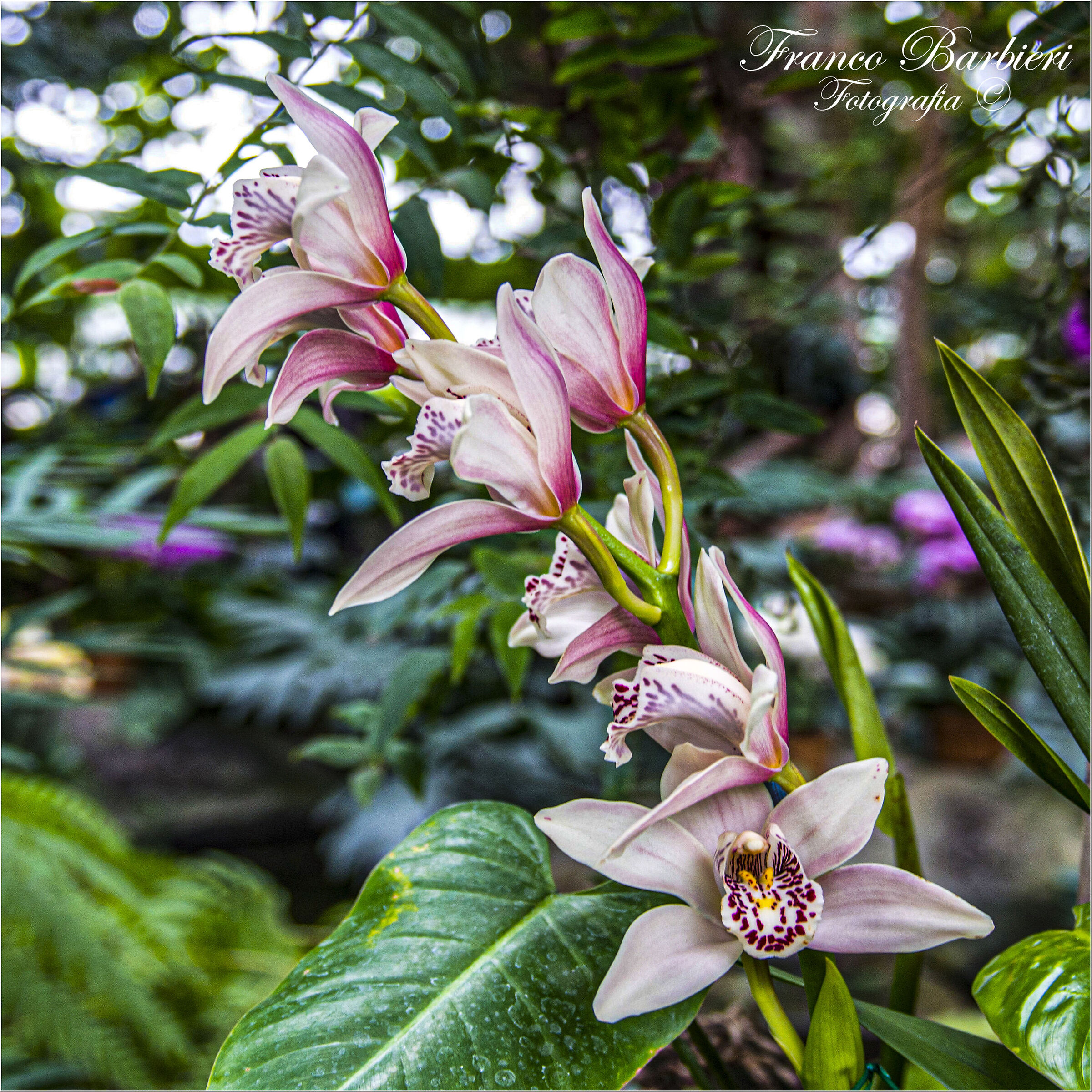 desire for first time