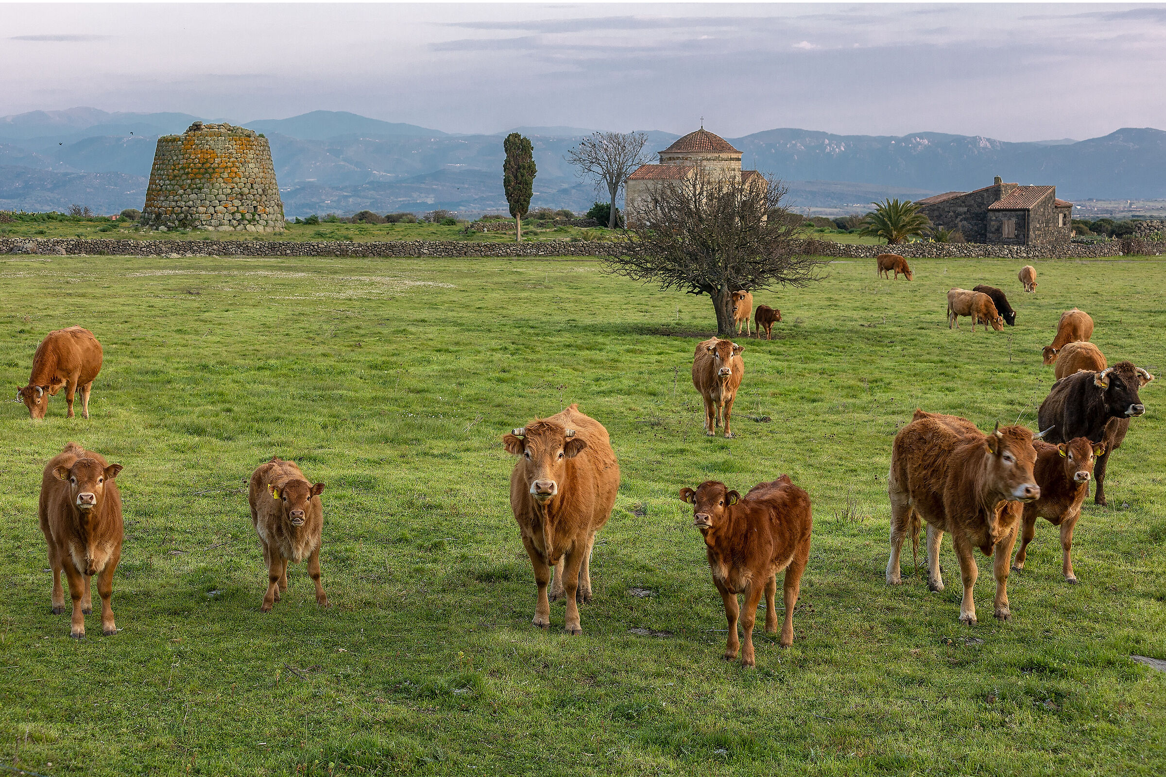 Curiosità per l'intruso