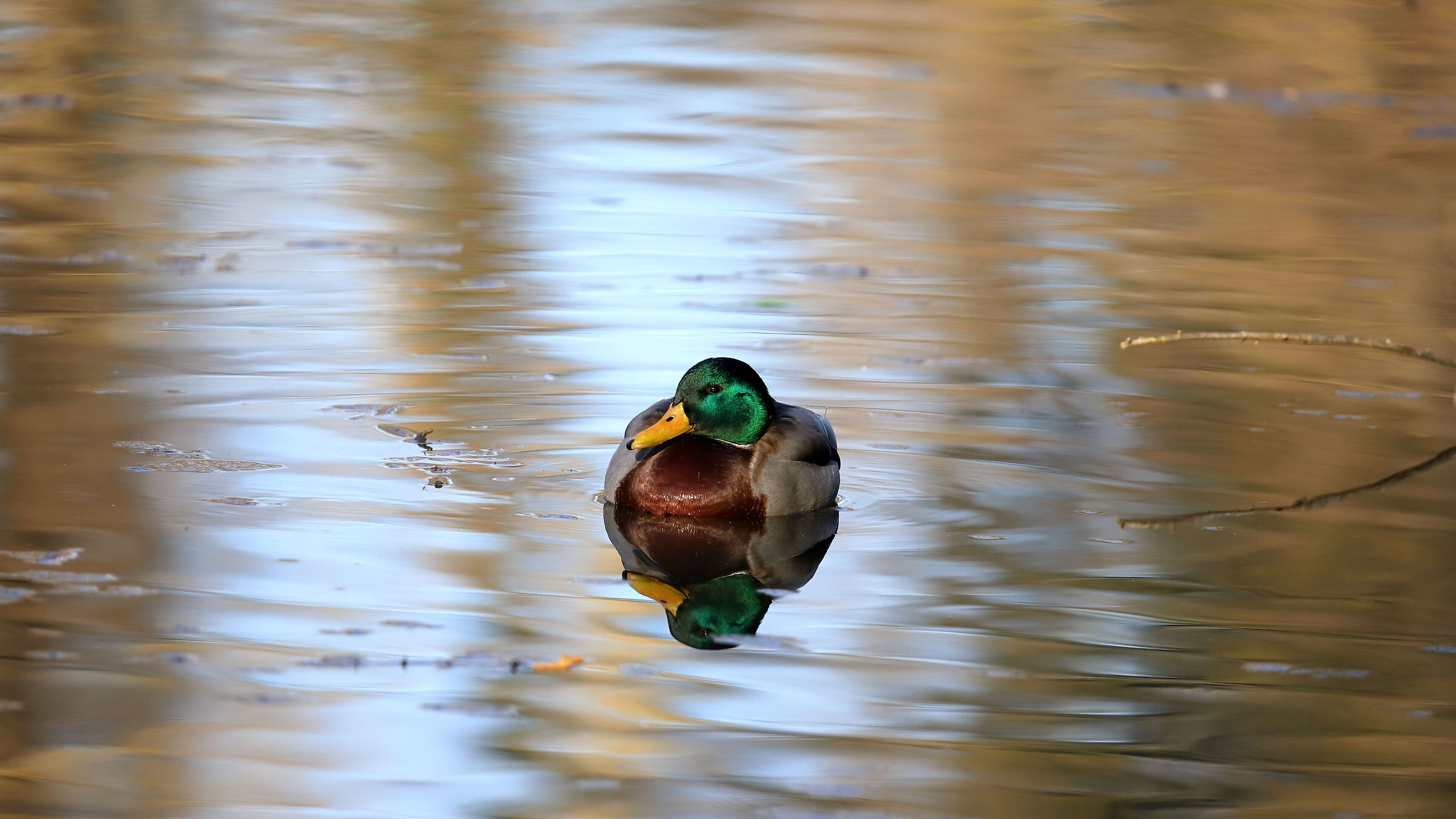 Oasi naturale la Crava