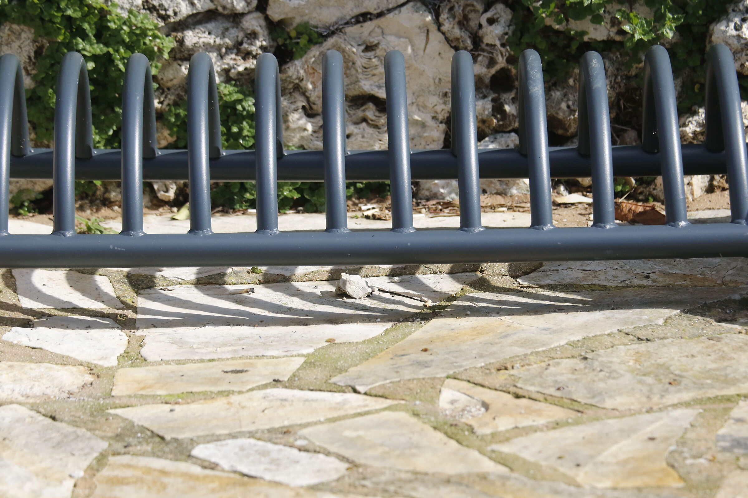 A135= Crop 216/ Canon 7D II- 70-300 DO IS USM