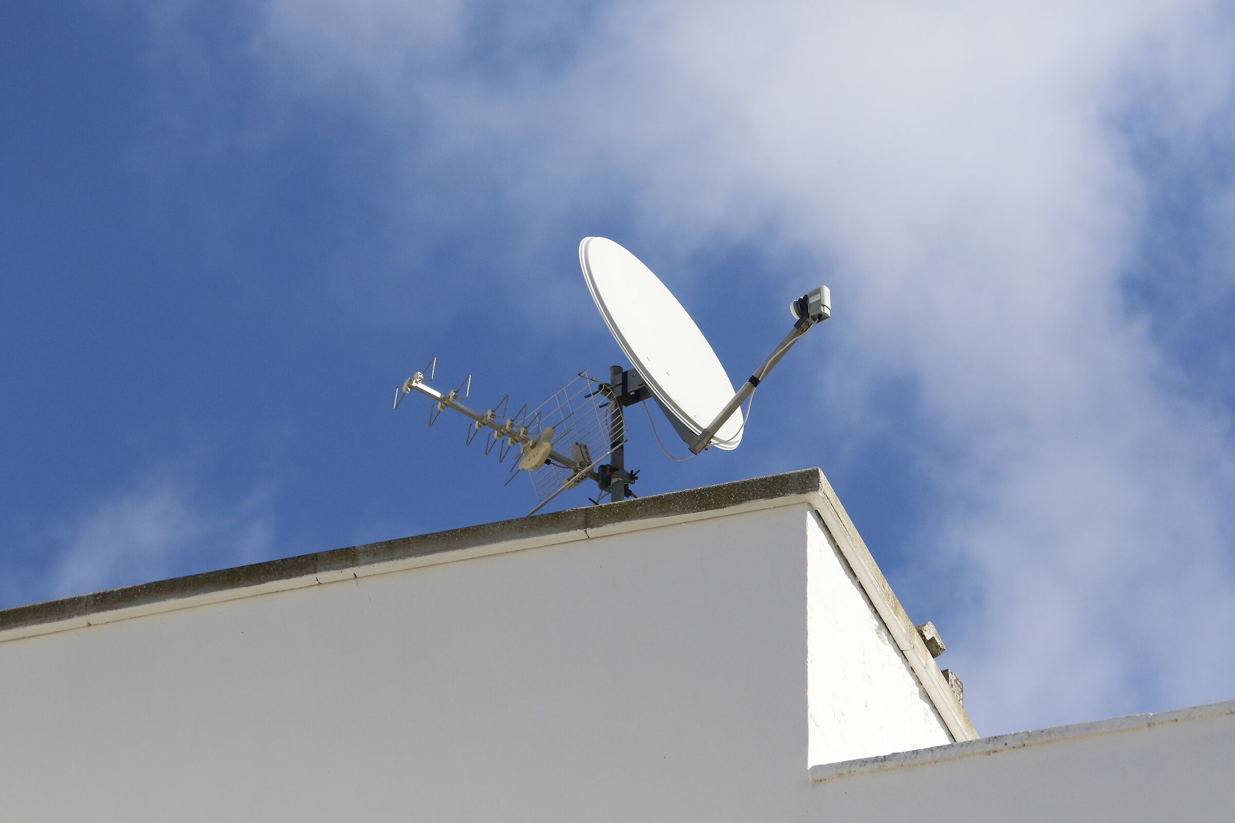 A 135= Crop 216/ Canon 7D II- 70-300 DO IS USM