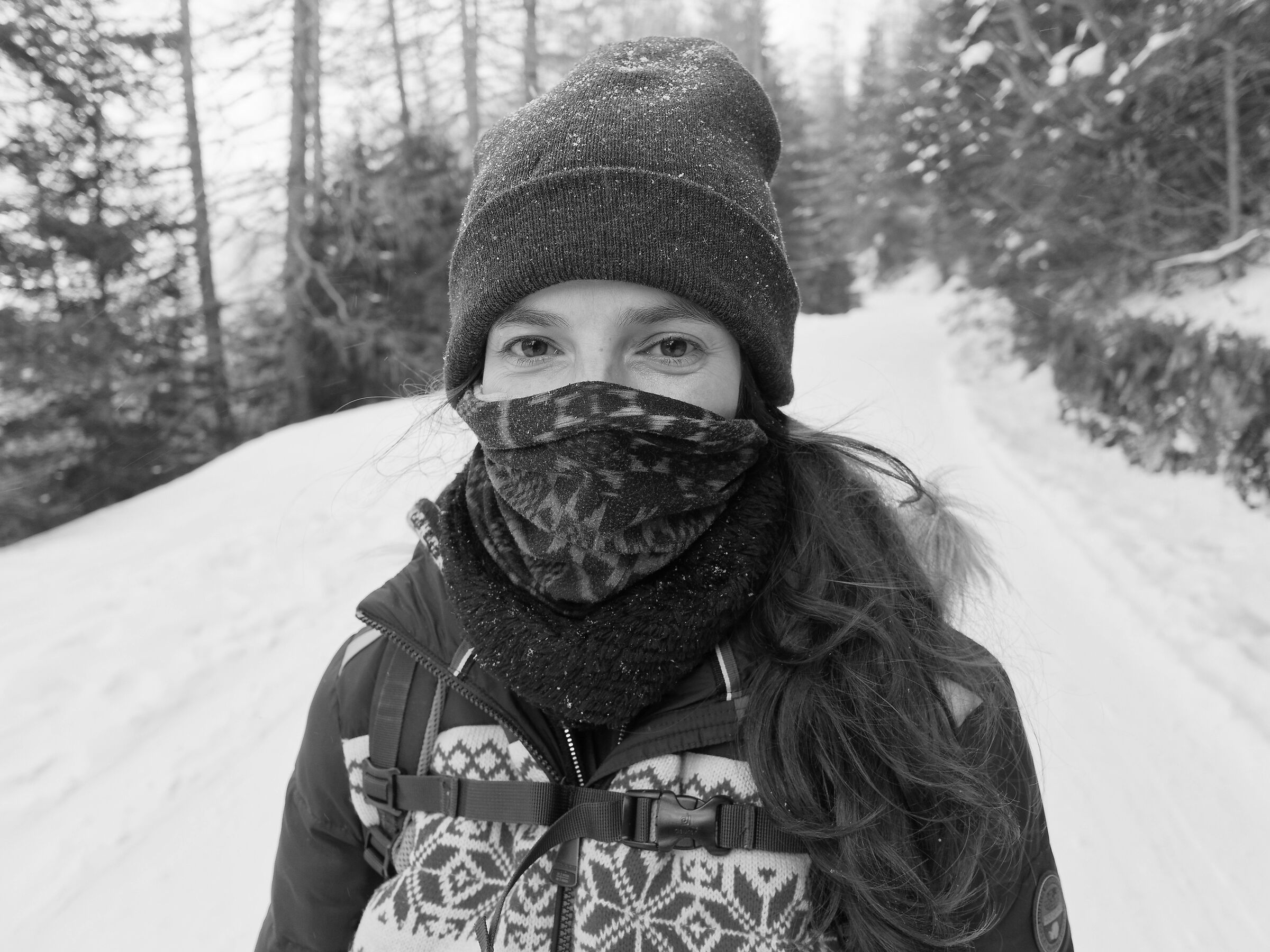 Covered in the snow