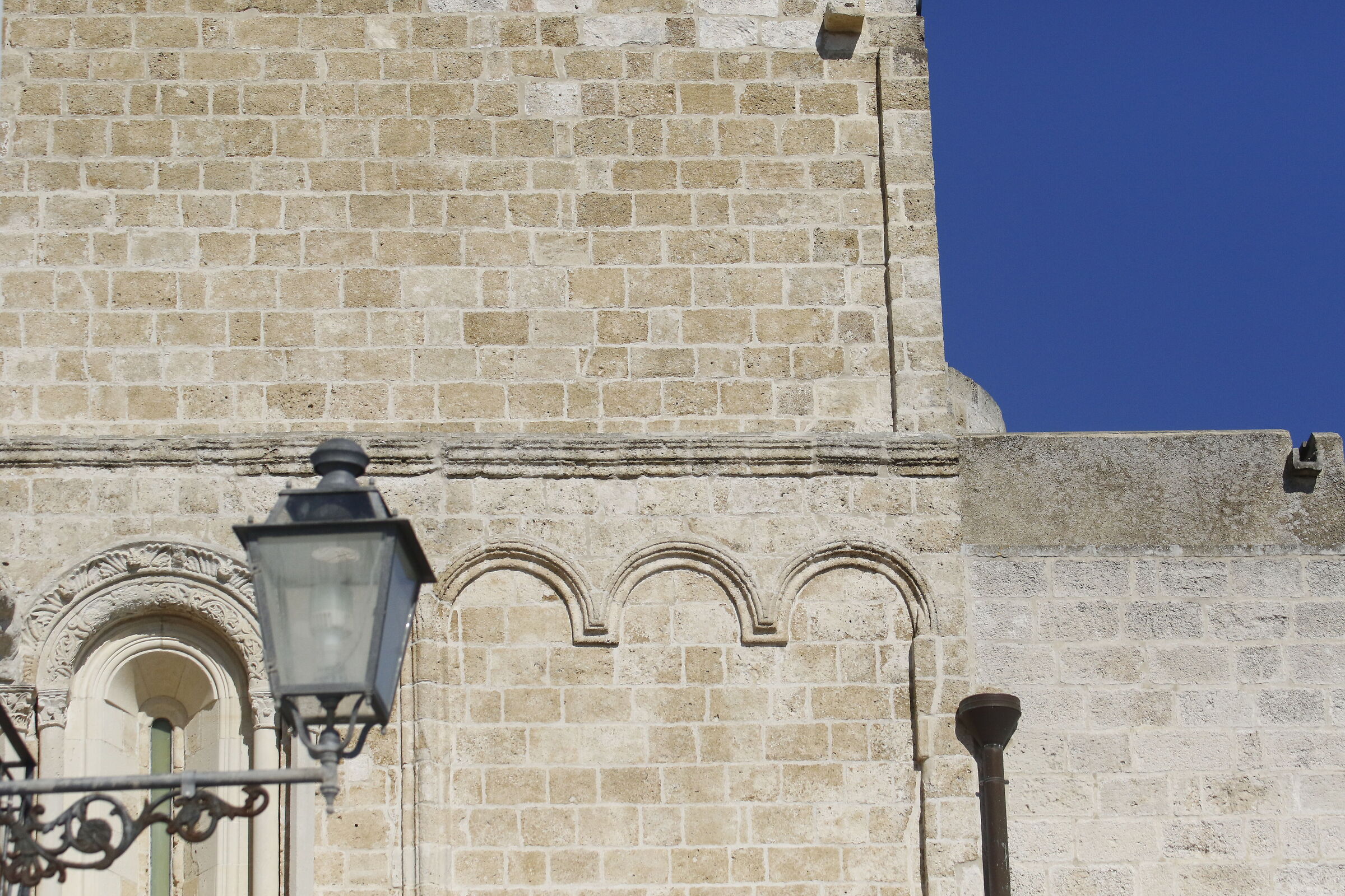 Canon 7D II- 70-300 DO IS USM