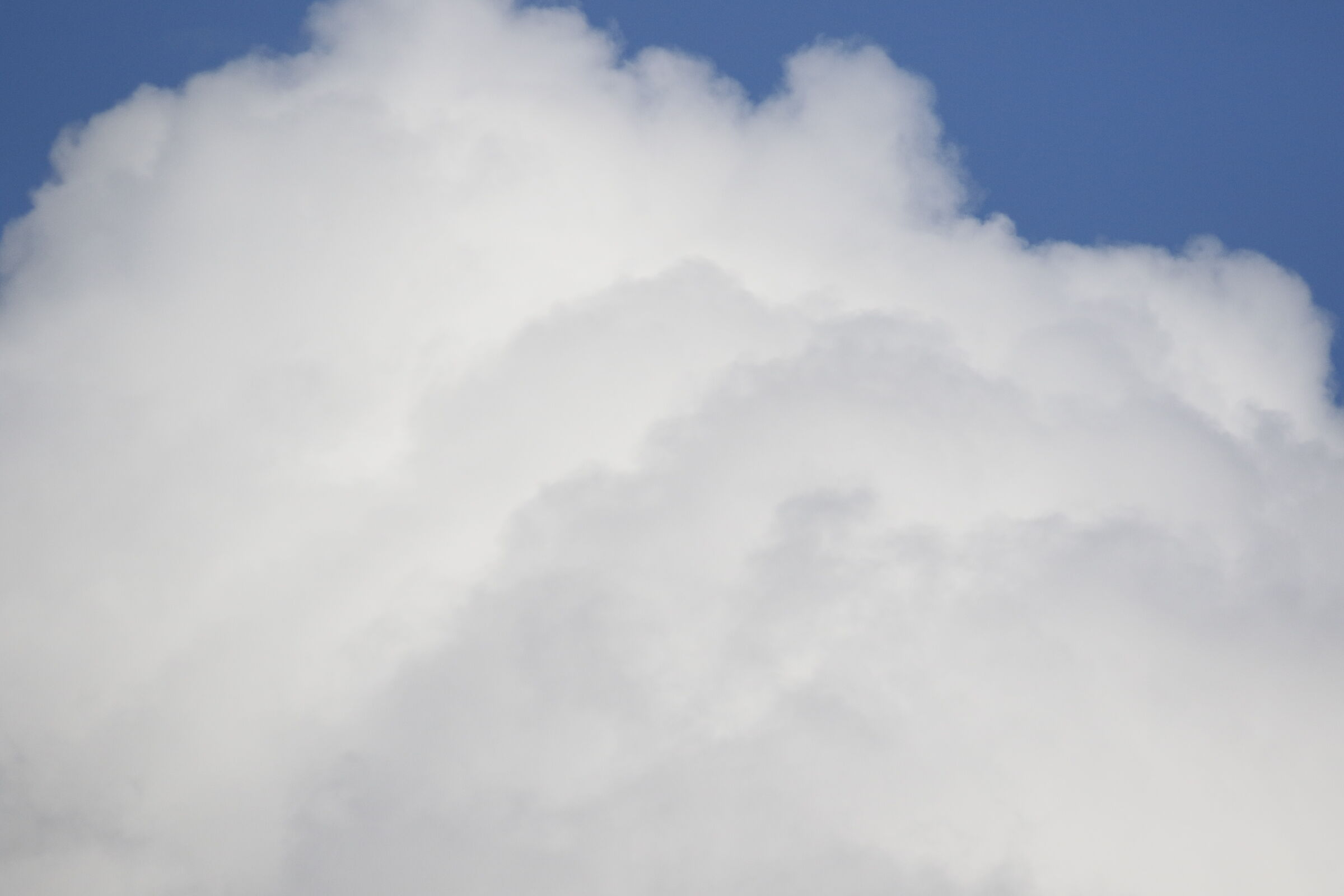 A 300= Crop 480/ Canon 7D II- 70-300 DO IS USM